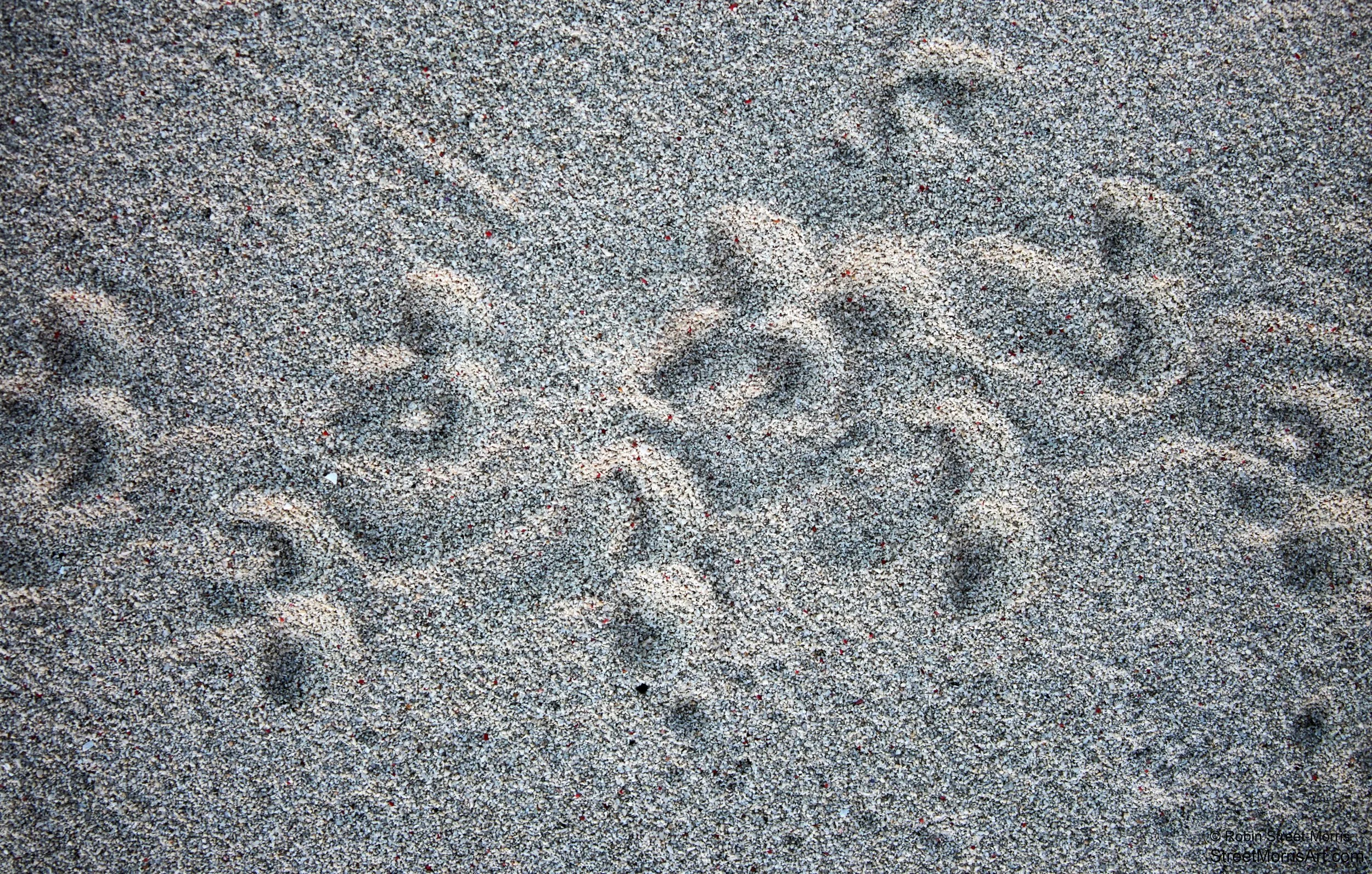 To the Waves (Green Sea Turtle Tracks)
