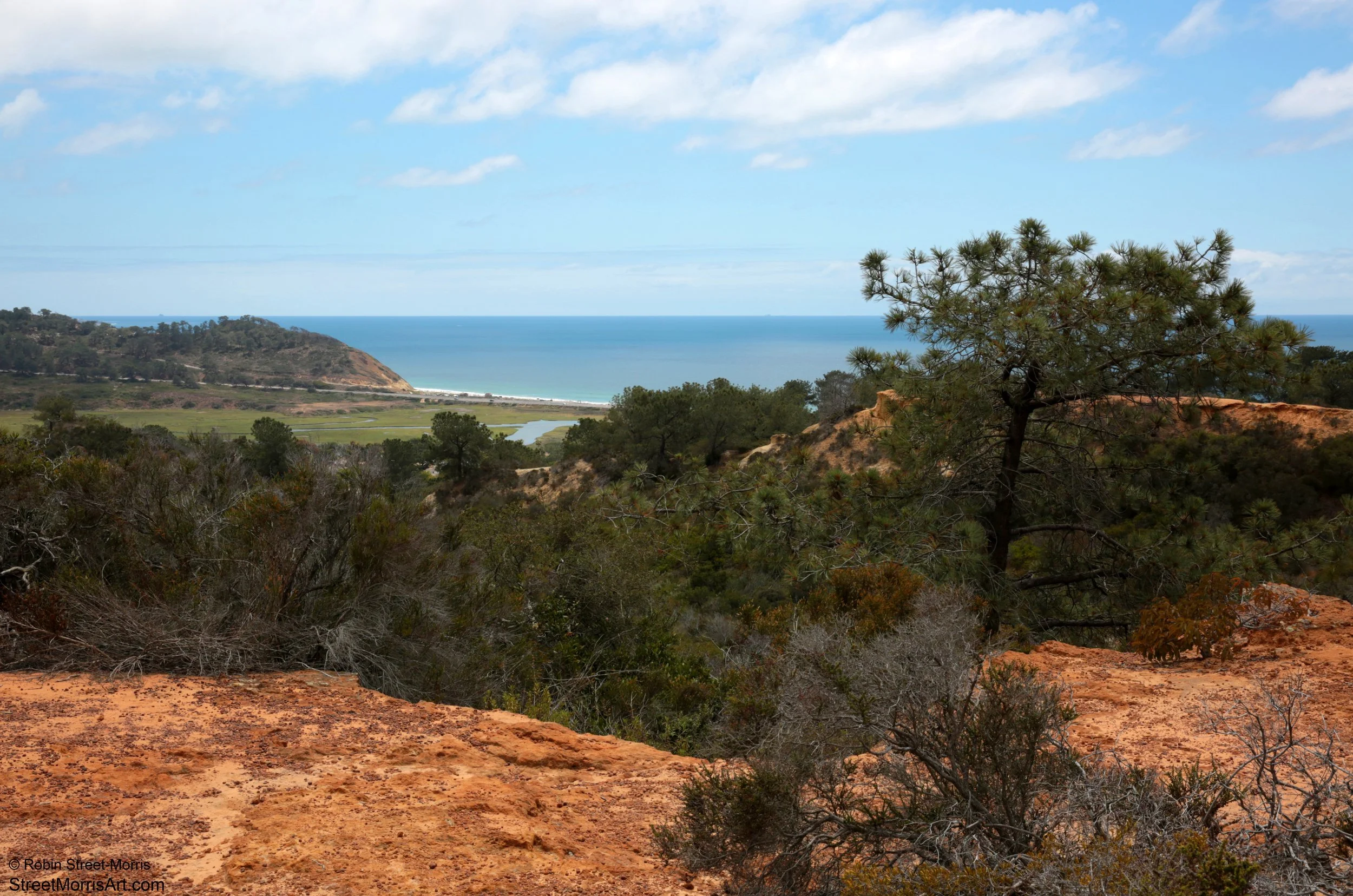 Before the Fire (Torrey Pines State Natural Reserve Extension)
