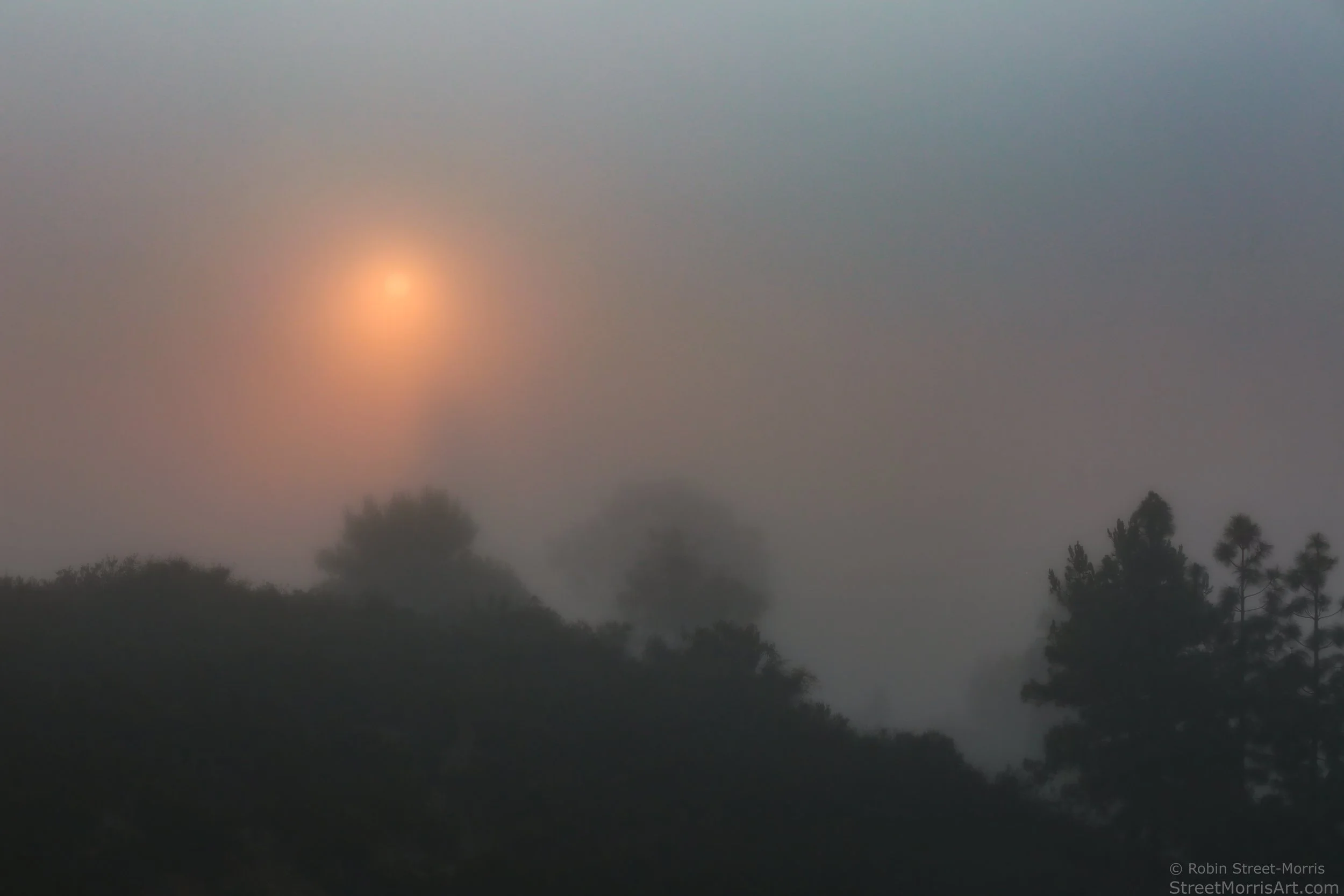 Fog at Dawn