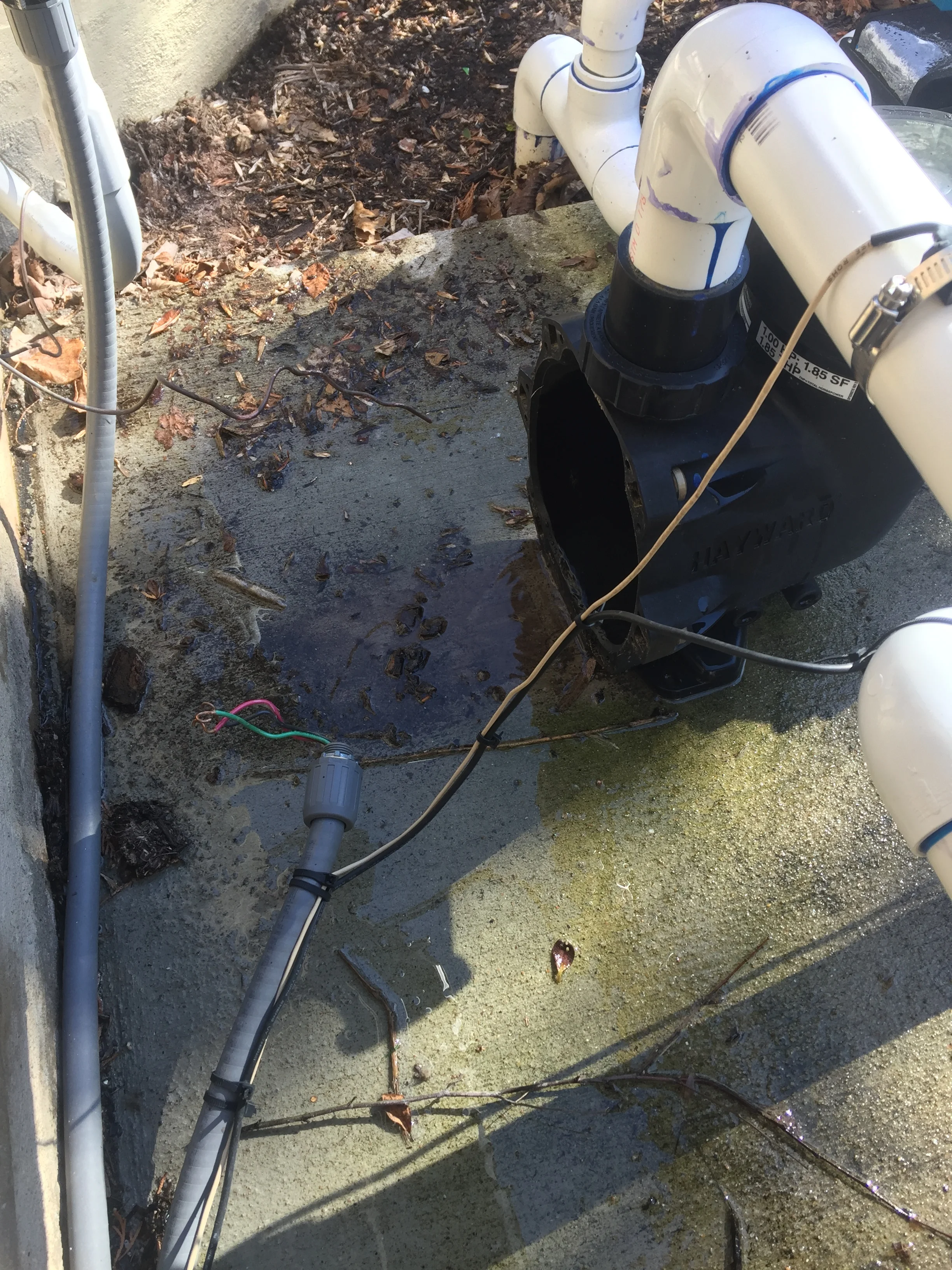 Pool Pump Motor Replacement: Before