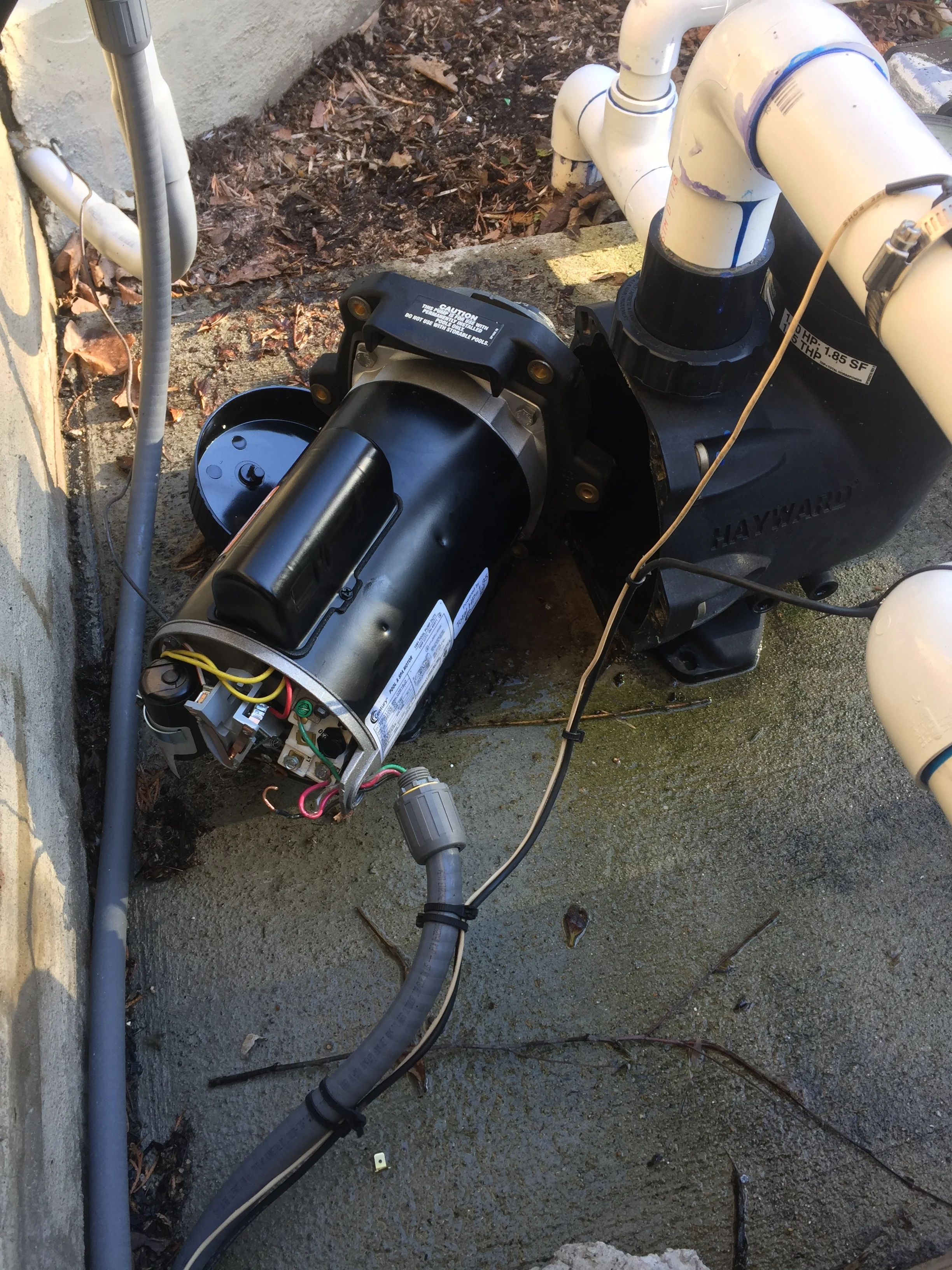 Pool Pump Motor Replacement: During