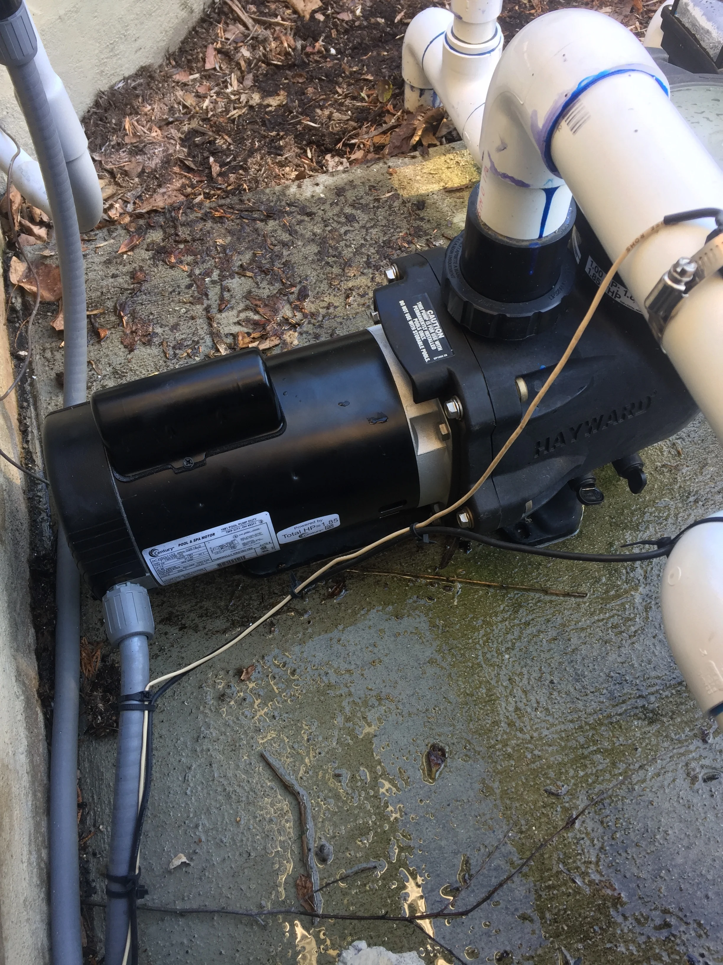 Pool Pump Motor Replacement: After