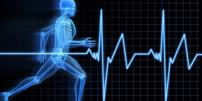 Human Movement Wave Graph.jpg