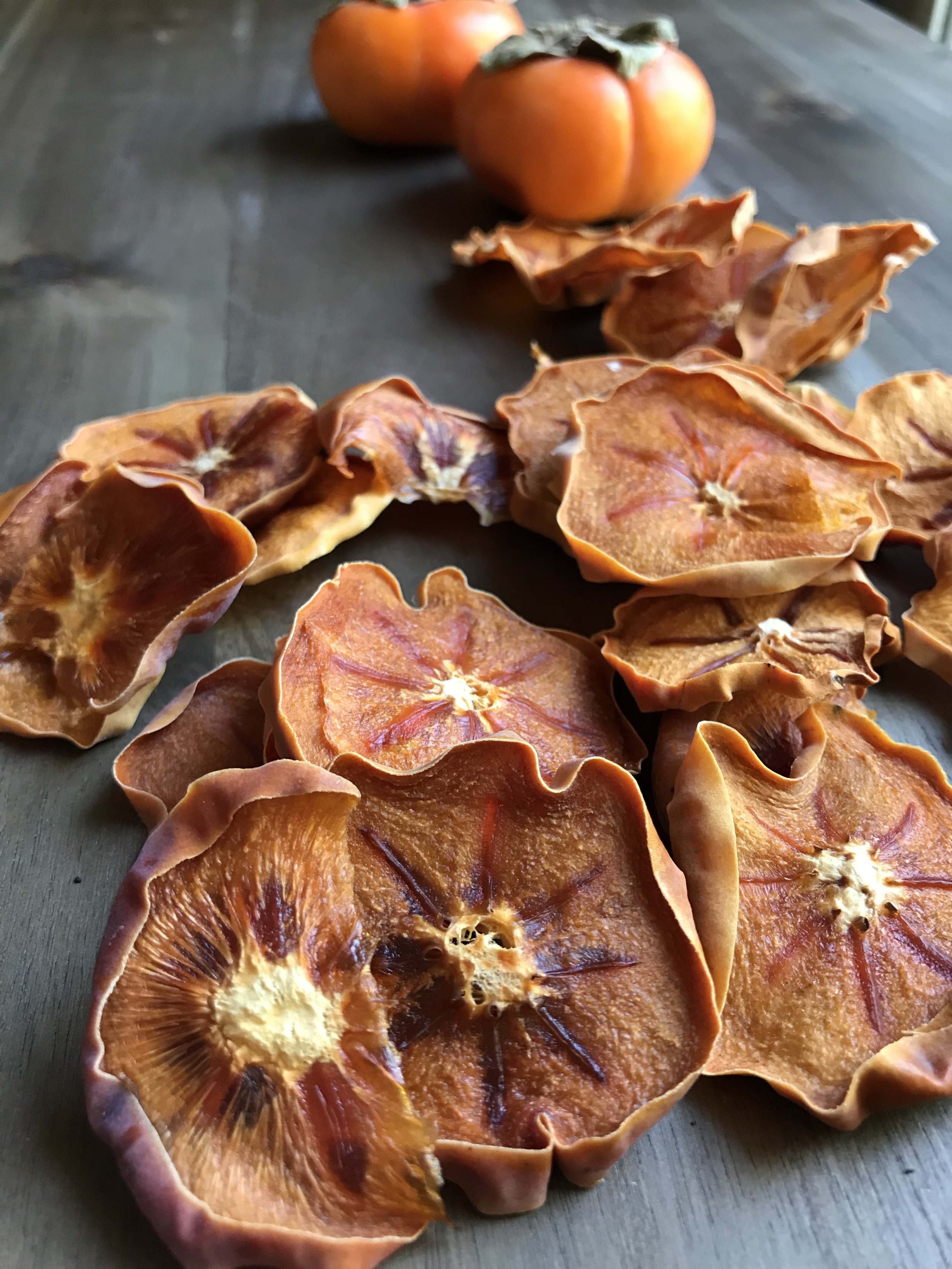 Persimmon Workshop