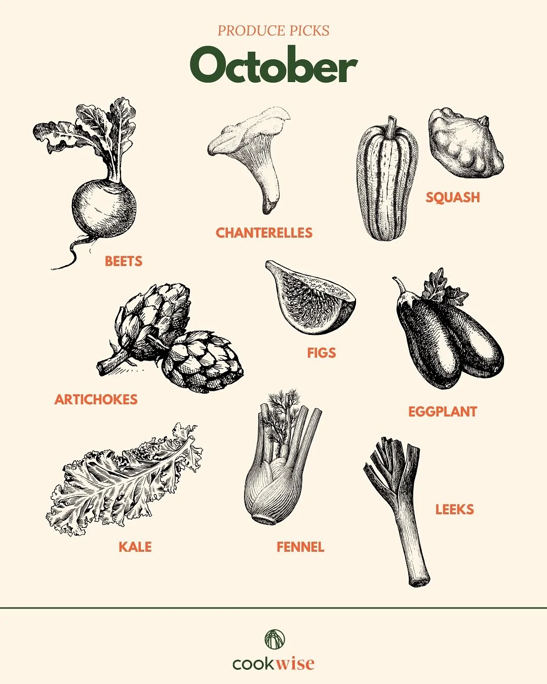 October produce picks. Finding favorite fruits n veg to inspire our weekly meal plans this month.

Shopping seasonal is always better for your wallet, keeps food local, and dinner delicious. 

In no particular order we&rsquo;re ready for:
Beets
Chant