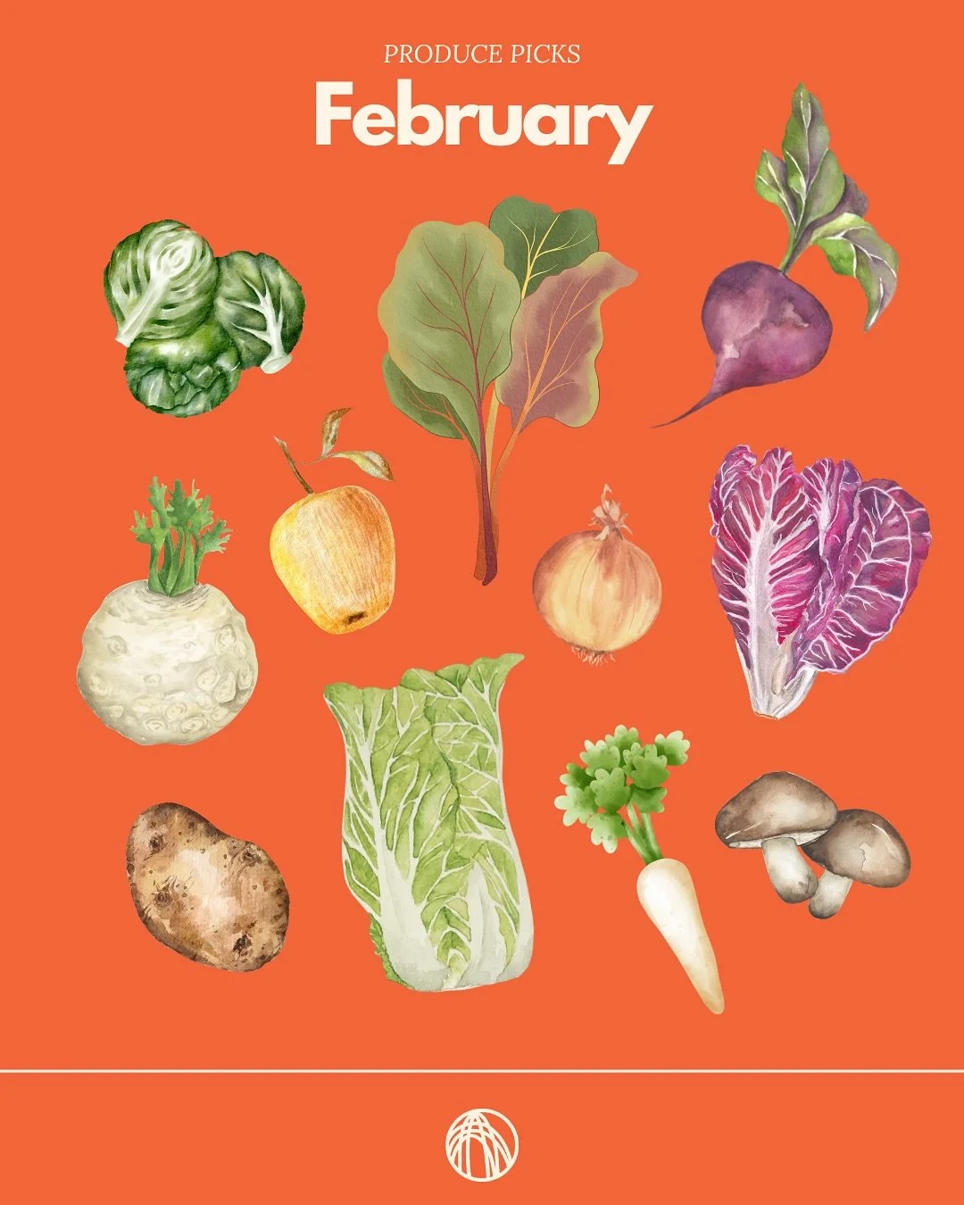 February produce picks!

Come winter there&rsquo;s still an abundance of seasonal fruits and vegetables to choose from.
 Brussels Sprout
Chard
Apple
Beet
Radicchio
Celeriac
Potato
Savoy cabbage
Onion
Parsnip
Mushroom

Just to name a few!

Look for he