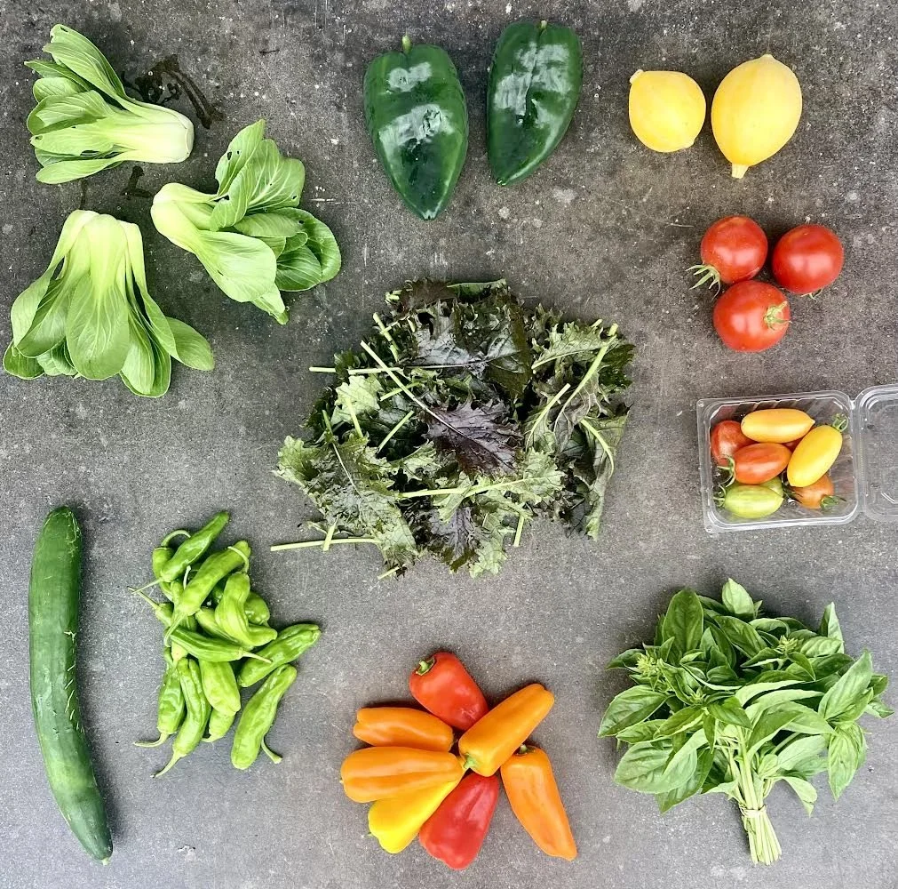 Kitchen Essentials, Encore Edition! 