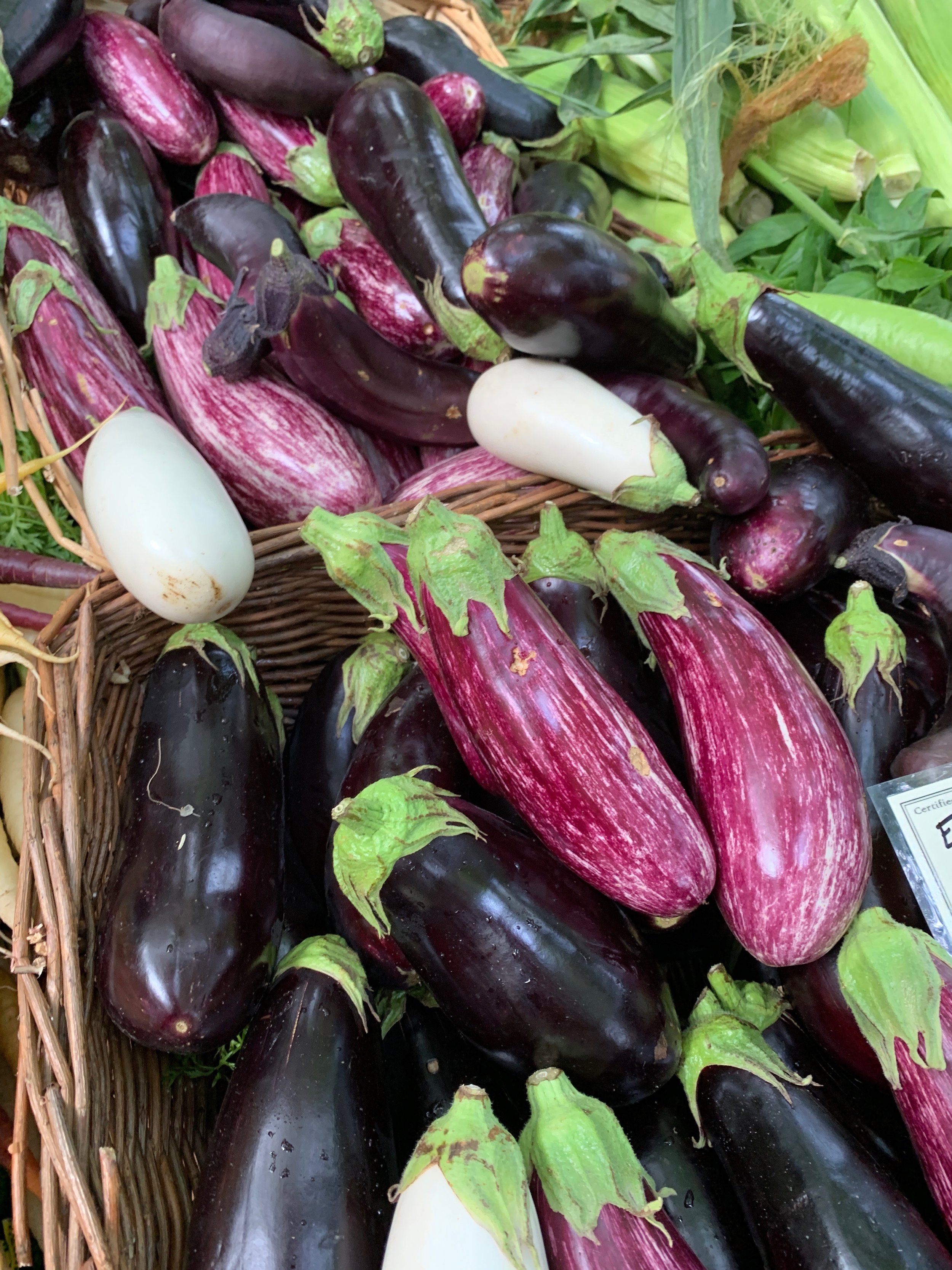 Cook Like a Nonna, Summer Edition!