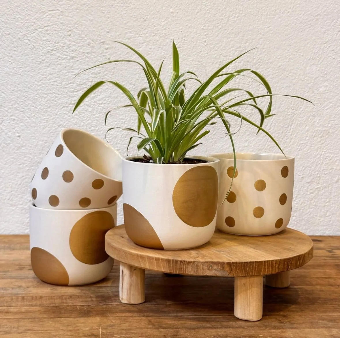 Potted in Portland