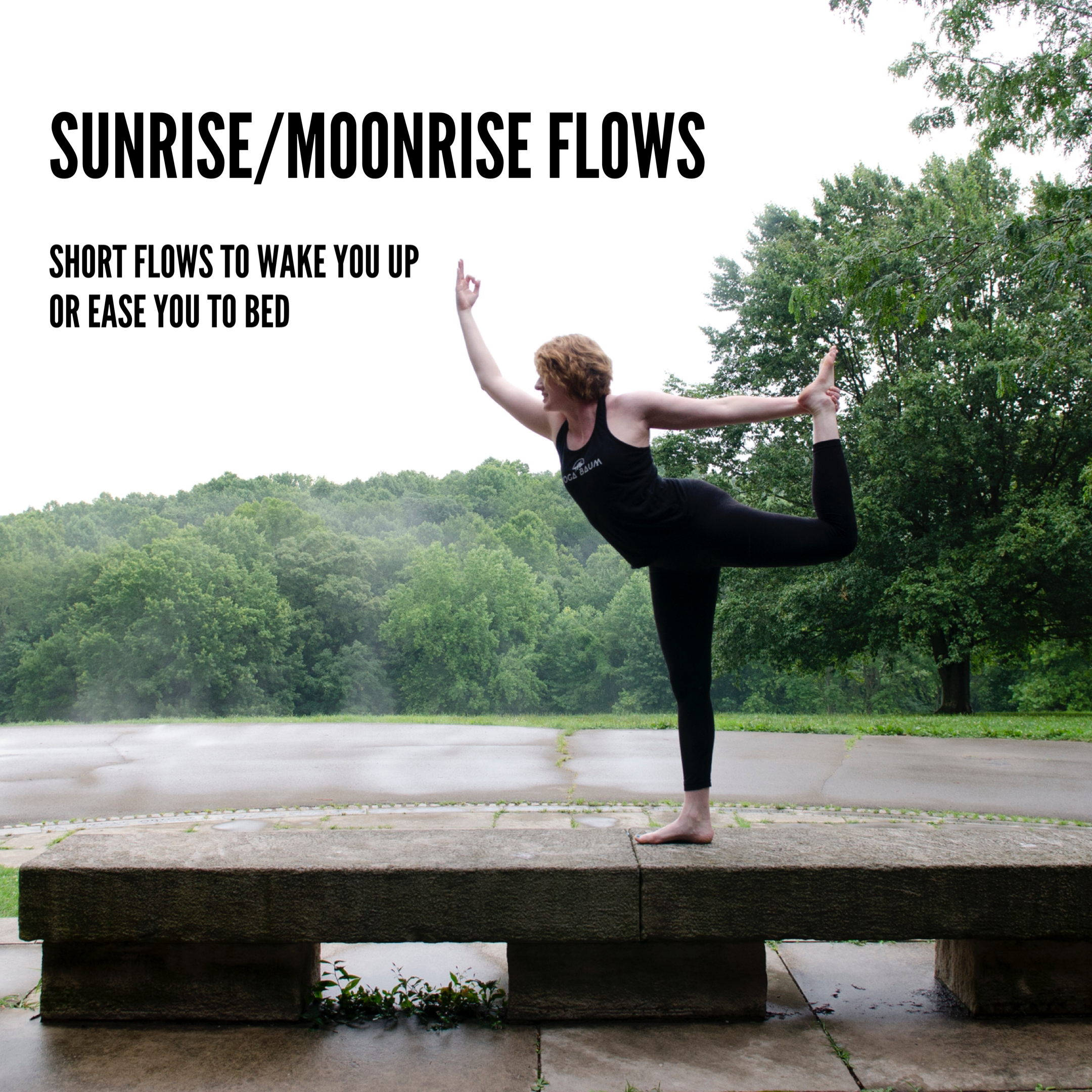 Sunrisemoonrise flows.PNG