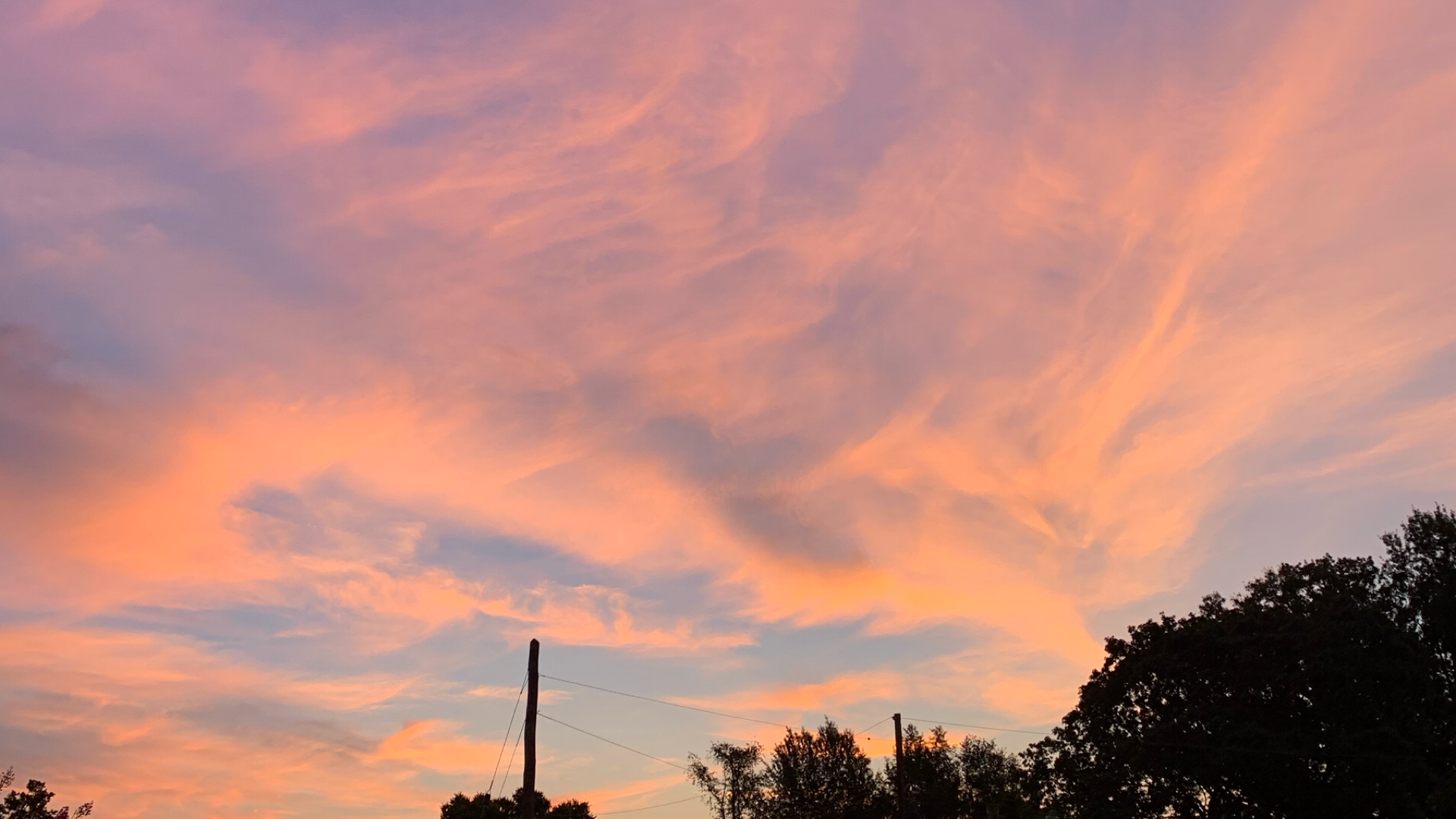 Untitled Design 32.PNG