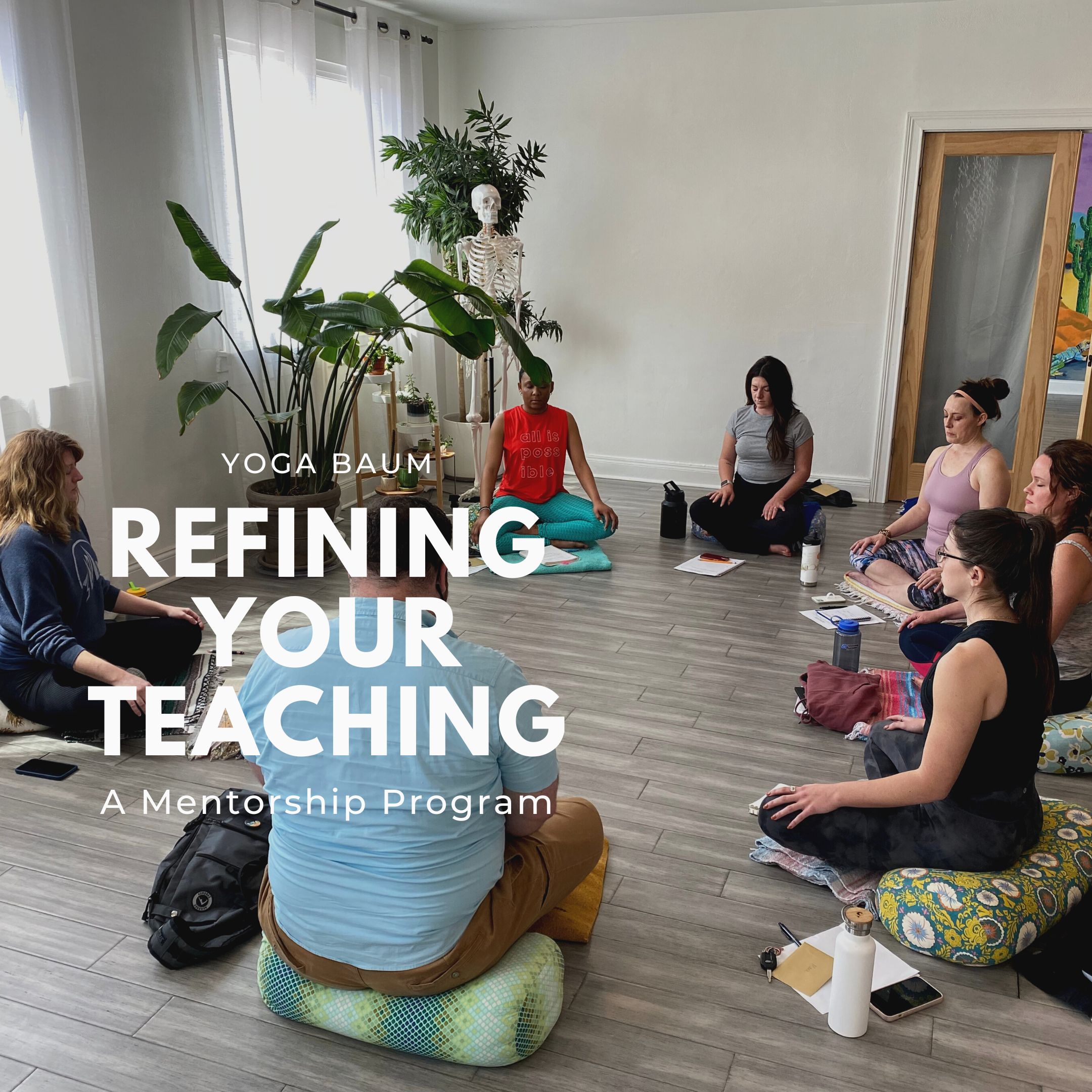 Refining Your Teaching: A Mentorship Program