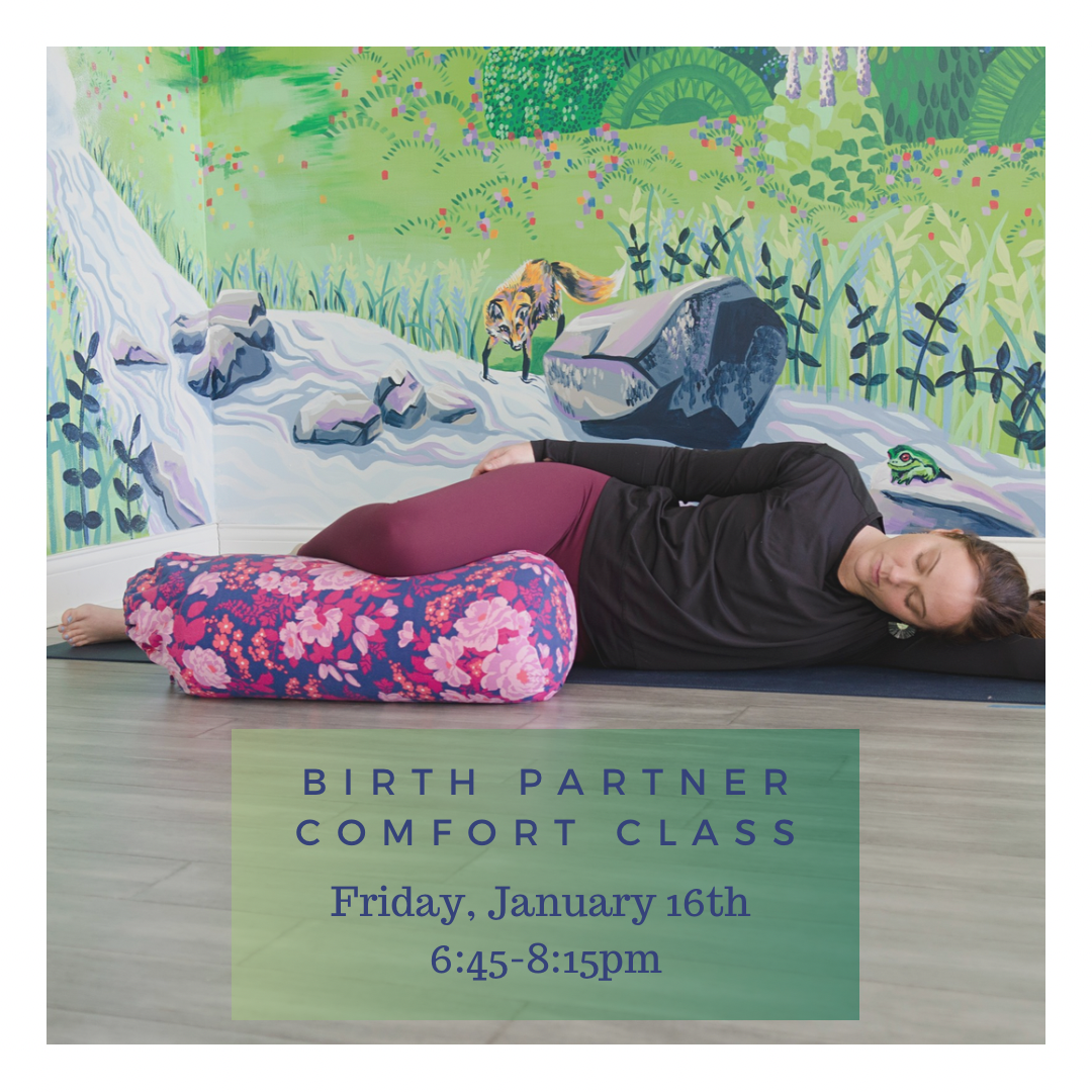 Birth Partner Comfort Class, 1/16 2026