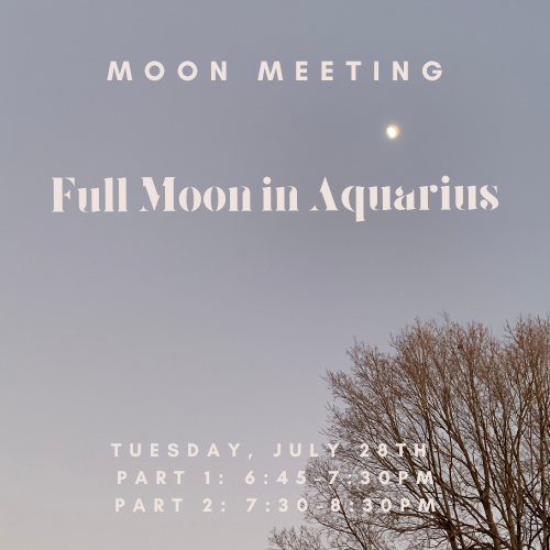 Moon Meeting: Full Moon in Aquarius 7/28