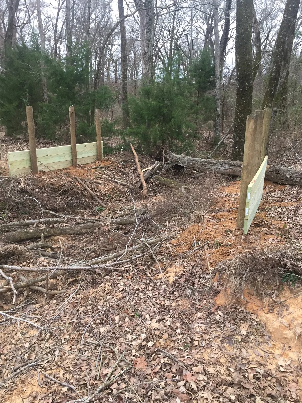 Just starting the bridge on the Saw-Whet Owl Trail