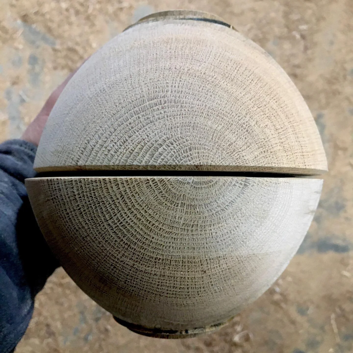 Cousins in the tree - oak end grain. #TurnedWoodBowls