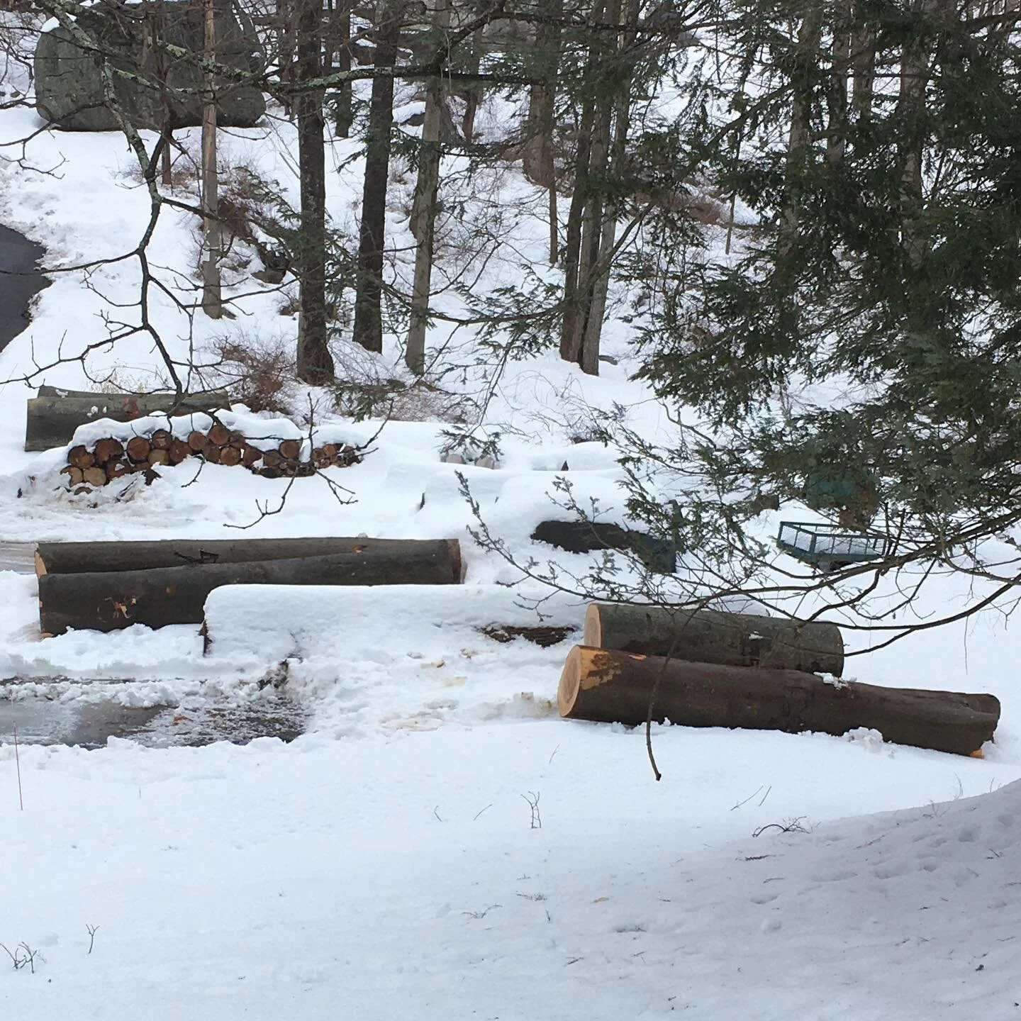 6 large Beech logs arrived shortly after a heavy snowfall. The snow has mostly melted but the Beech now sits suspended on an ice ridge that remains.  #woodturning #woodcarving #greenwoodworking #woodisgood #turnedwoodbowls #newwoodculture #sustainabl