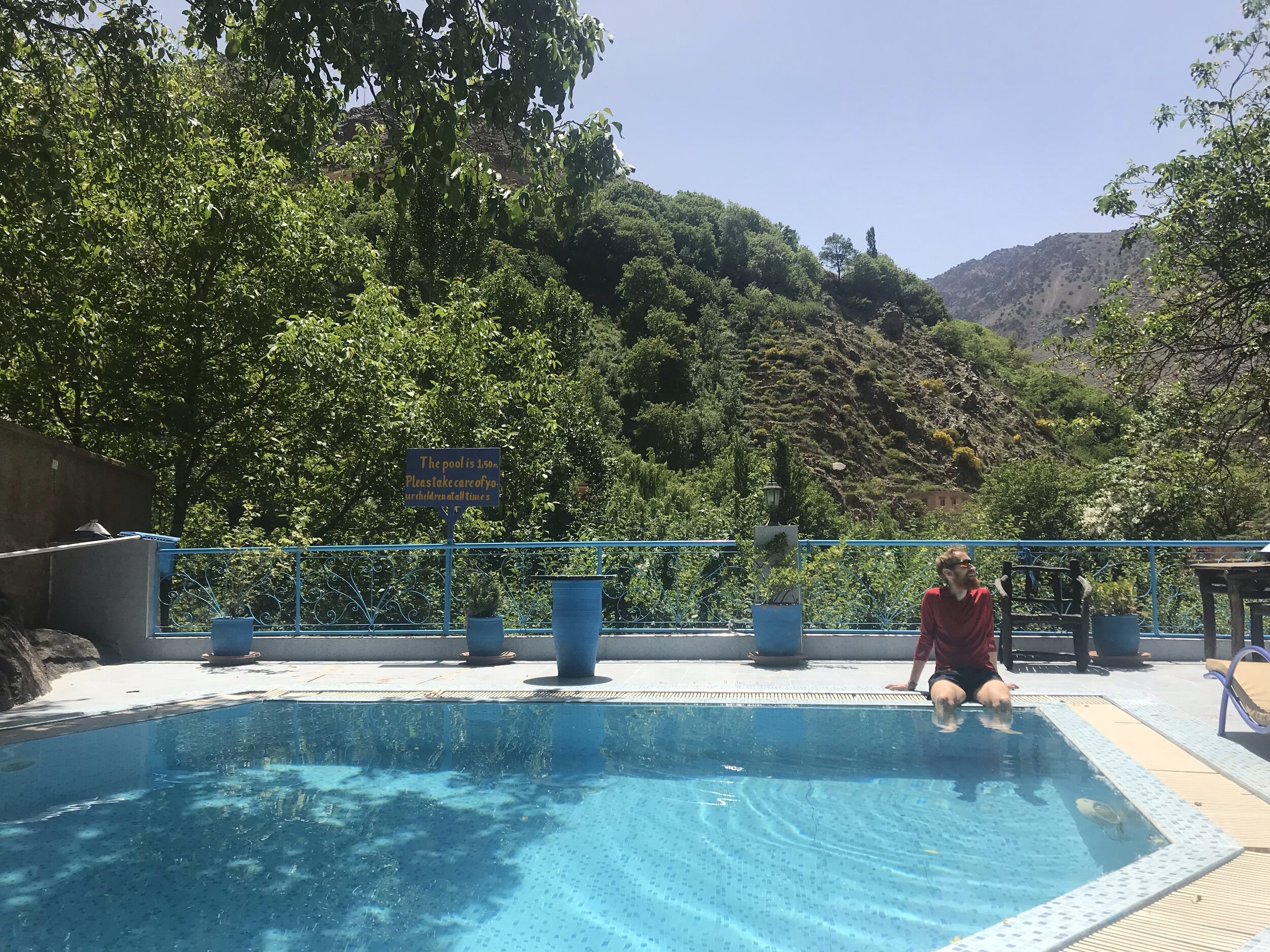 Revitalise.  A pool in the treetops