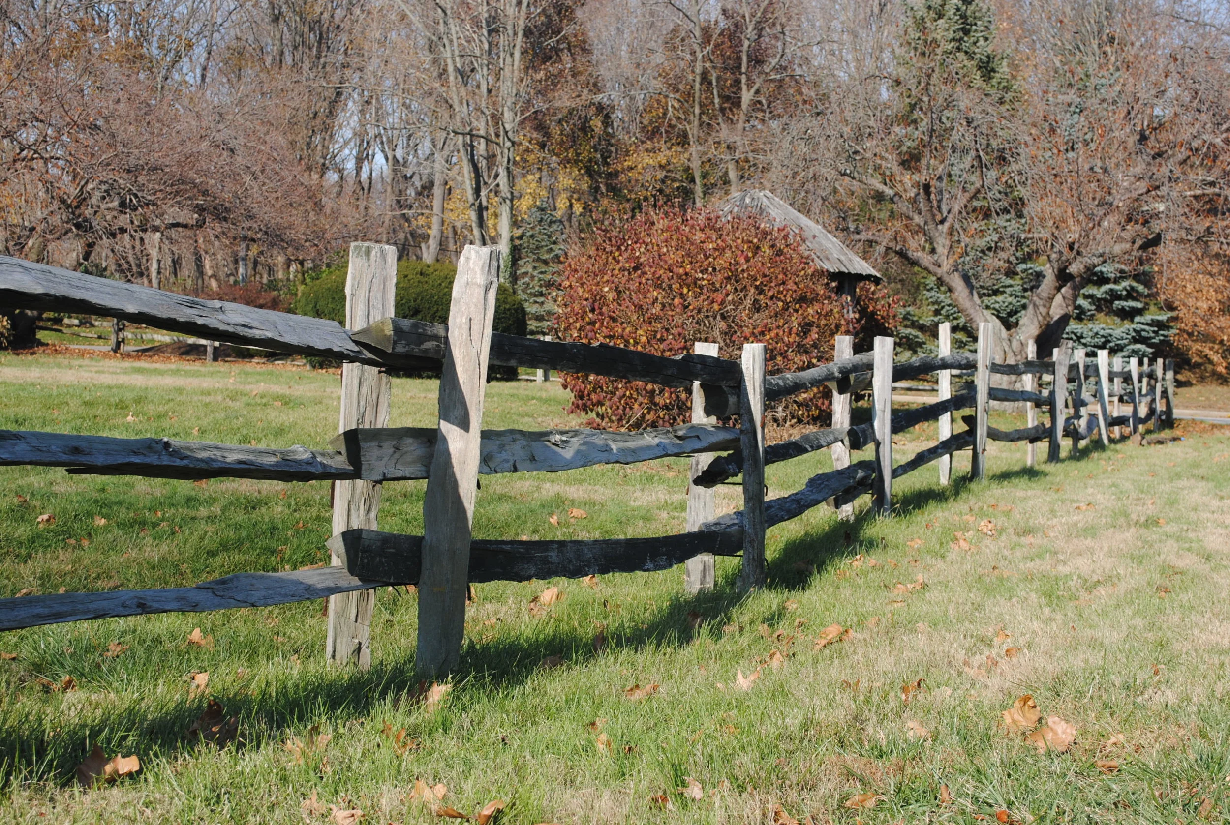 TOEFL - Impressões Pessoais