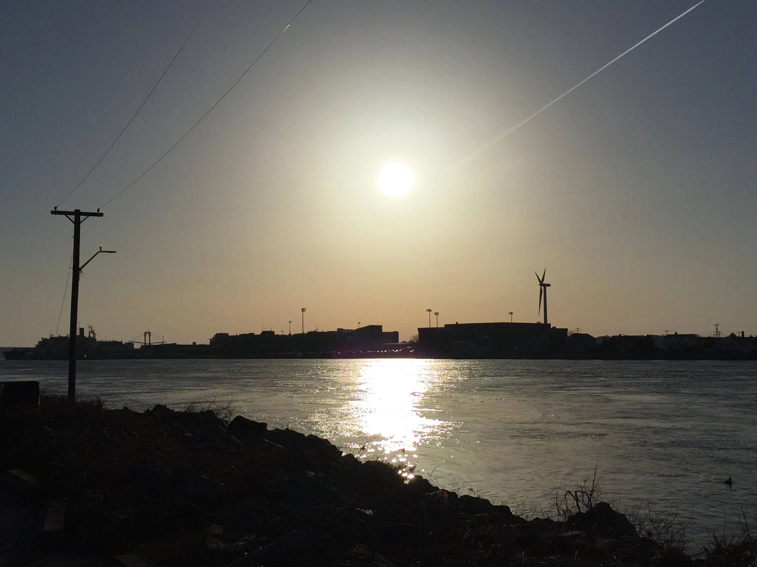 Para Estudar Odontologia nos EUA