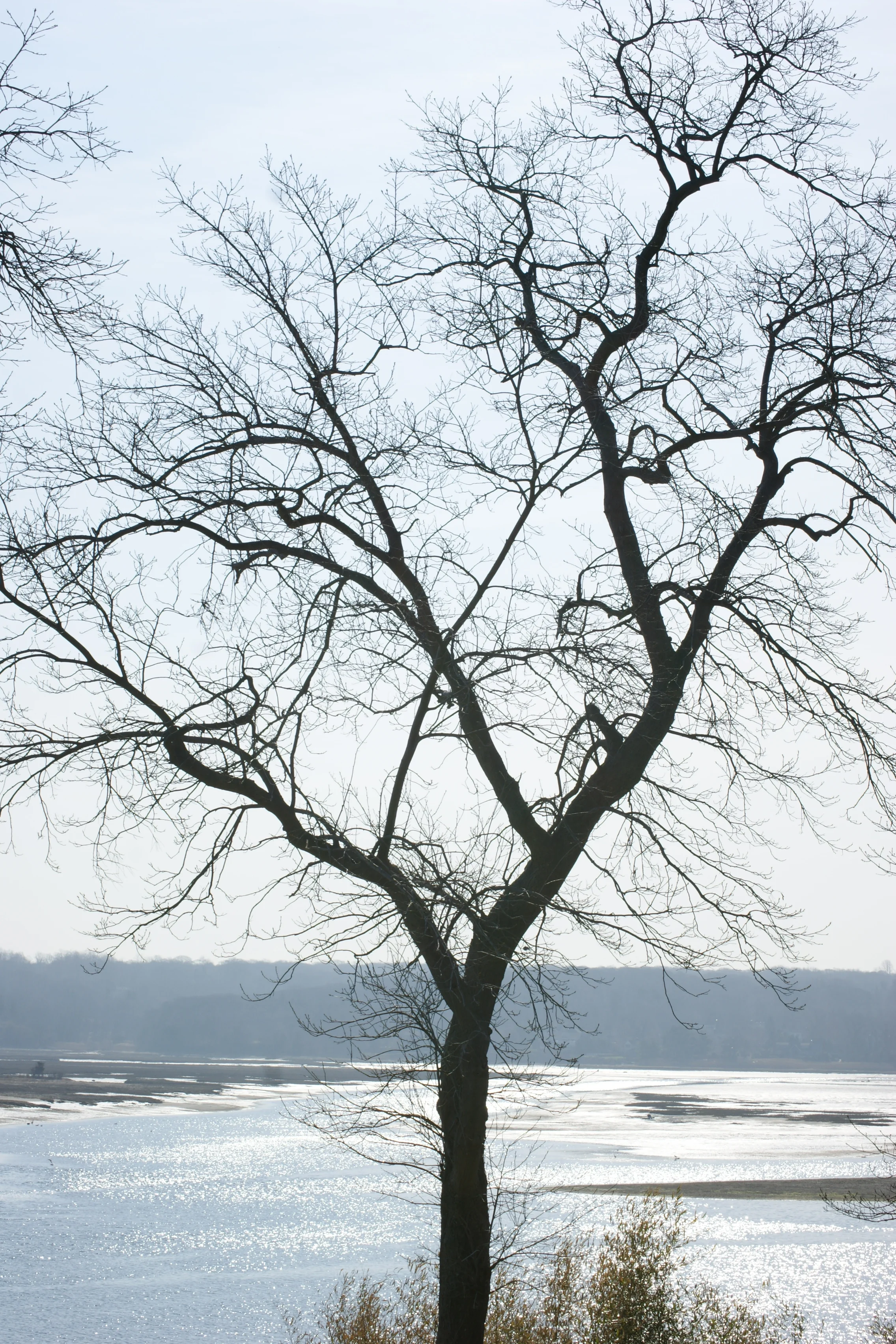 Uma visão de outro mundo