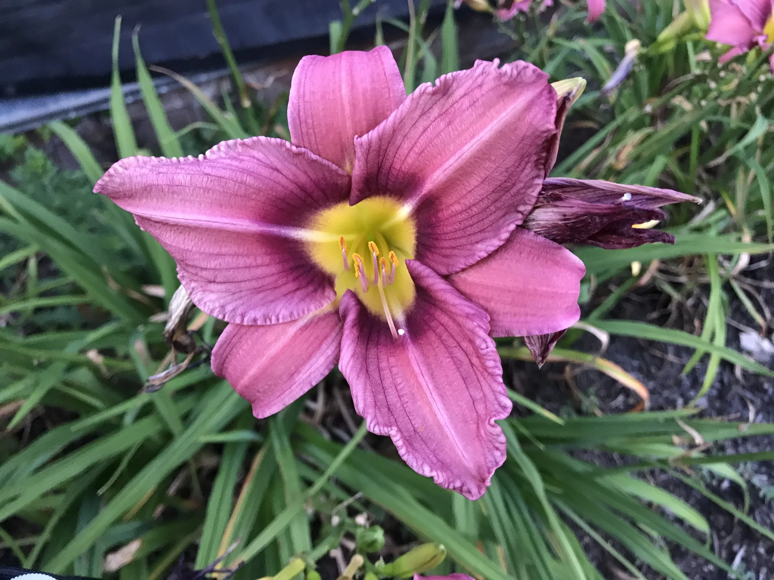 Cargos de Liderança