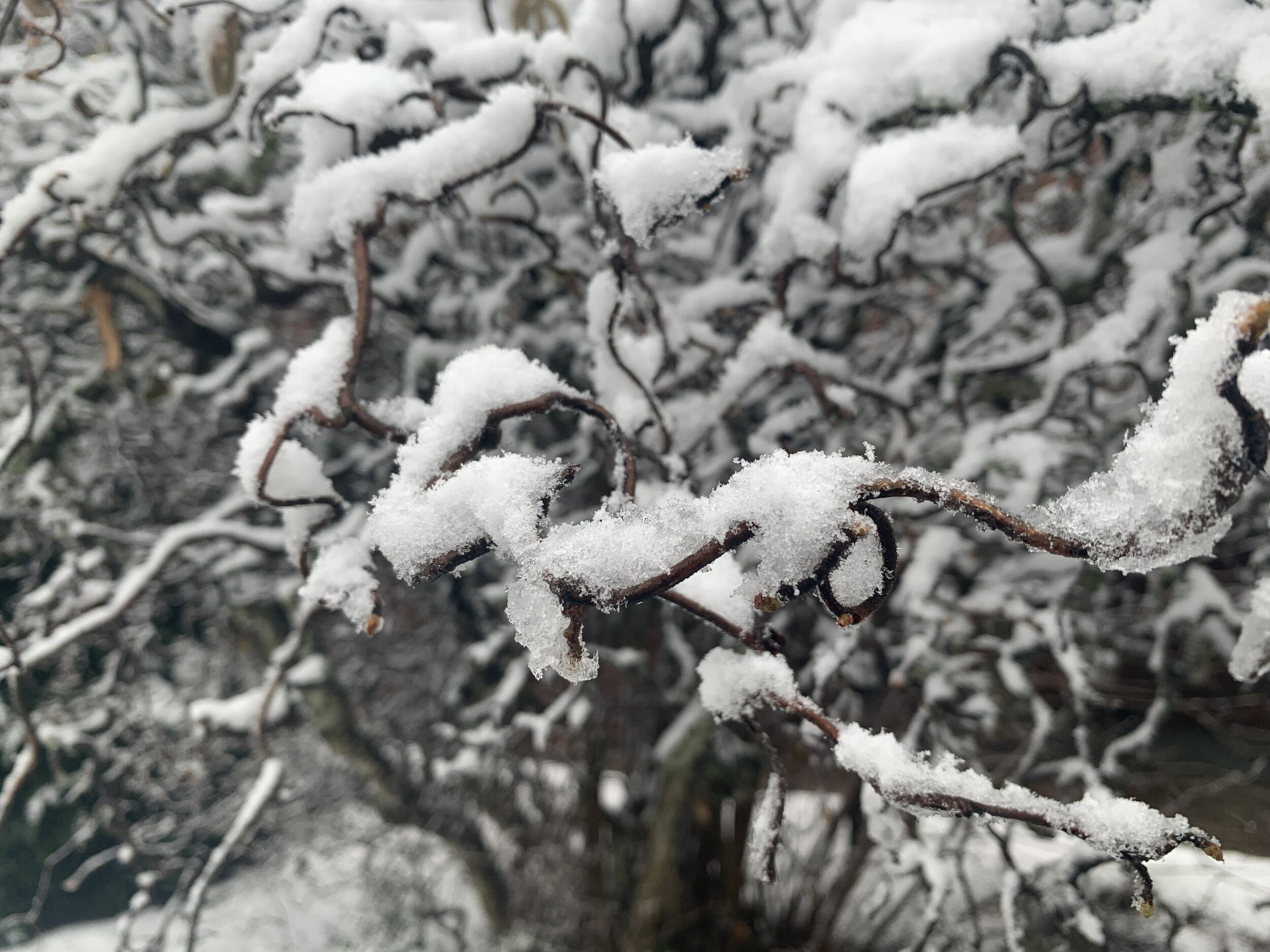 Por Onde Começar? 2