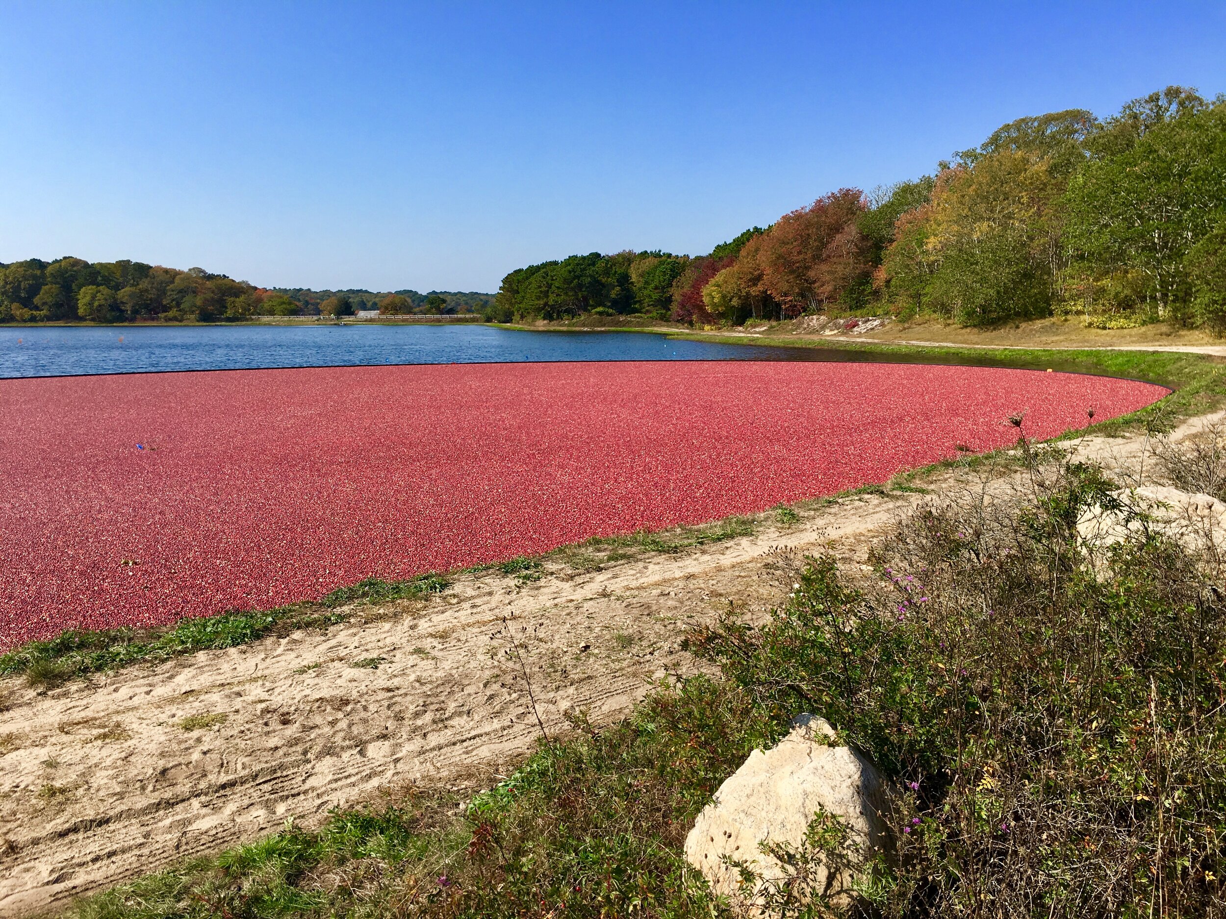 2020 finalmente chegou