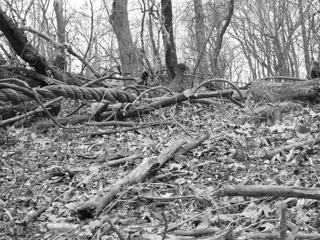 O Medo do Desconhecido