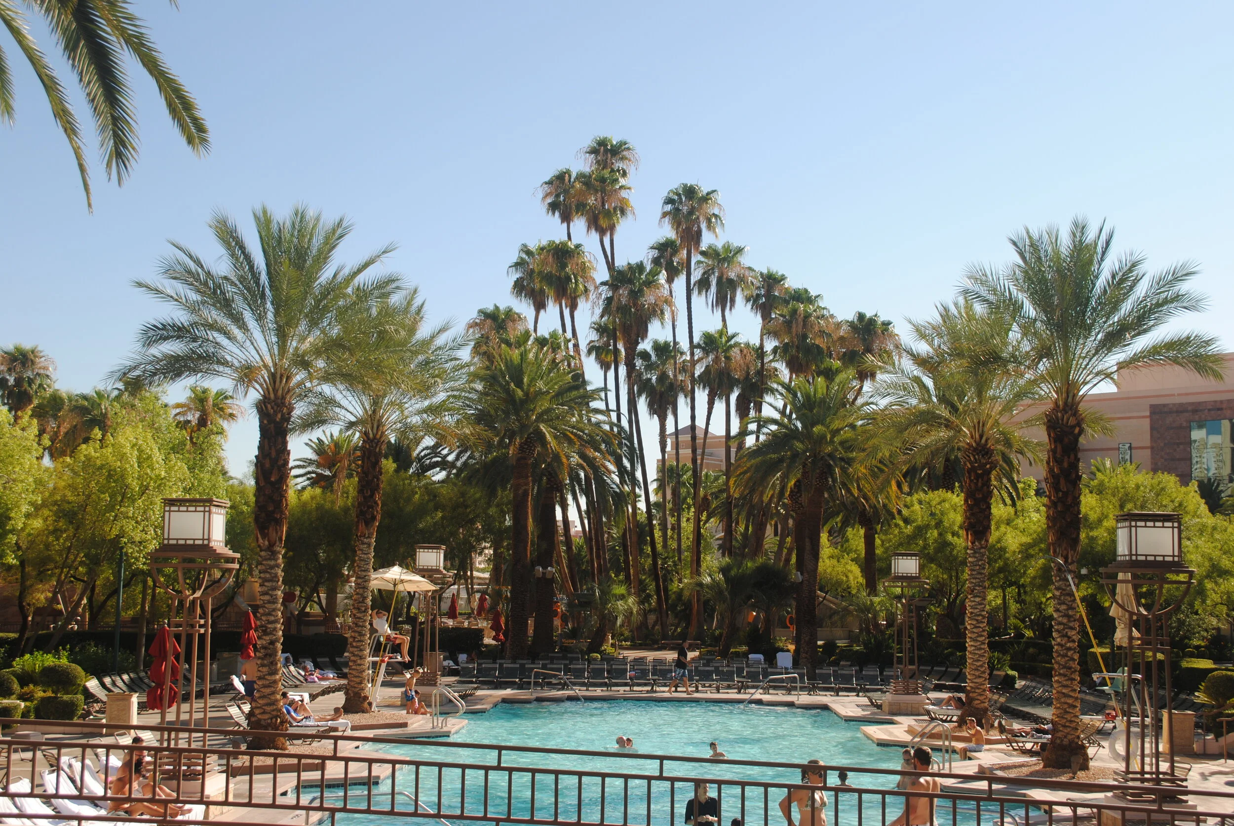 Complexo de vira-lata