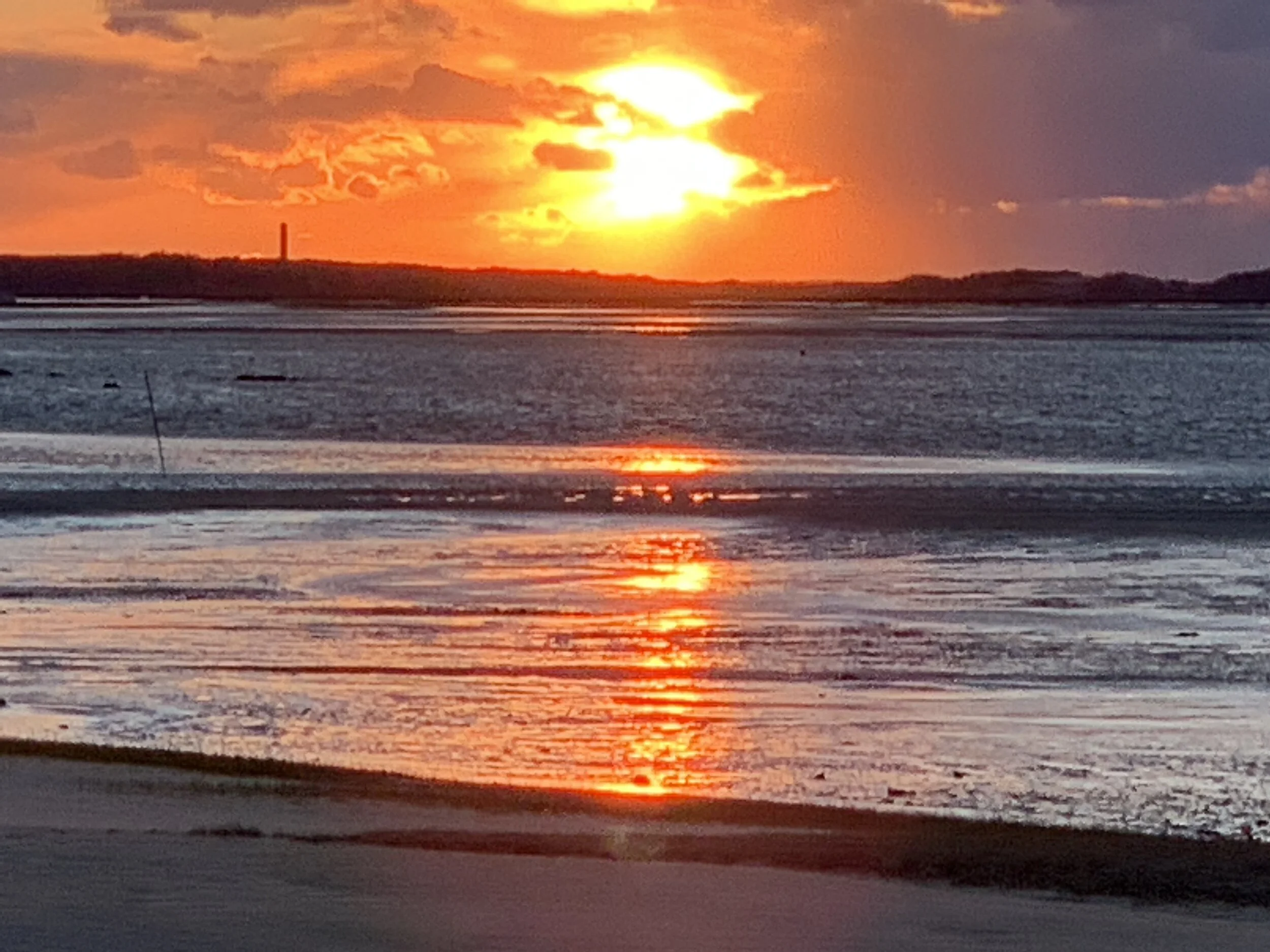 Primeiro Semestre 2020