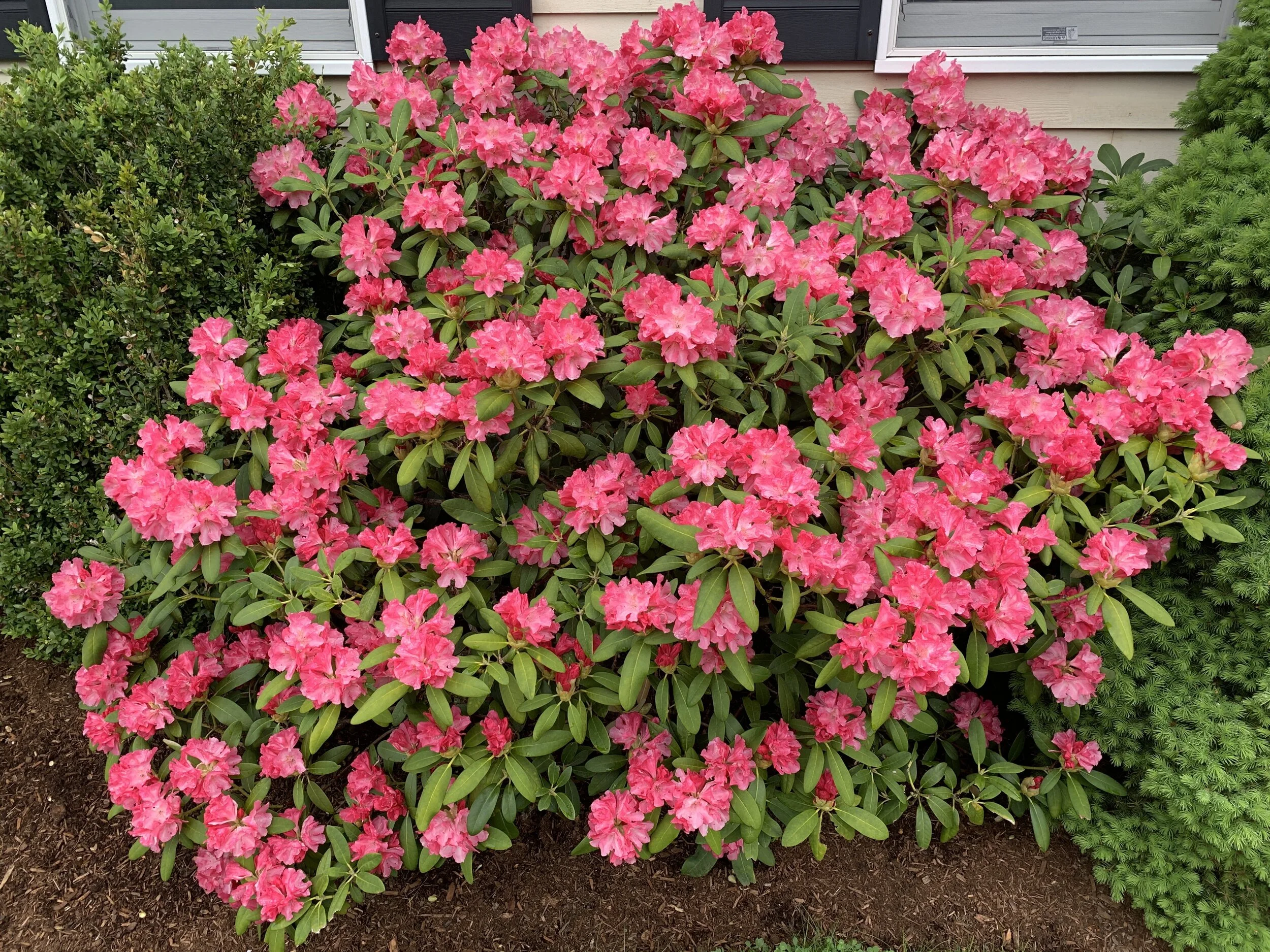 Calibração Cultural - Parte II