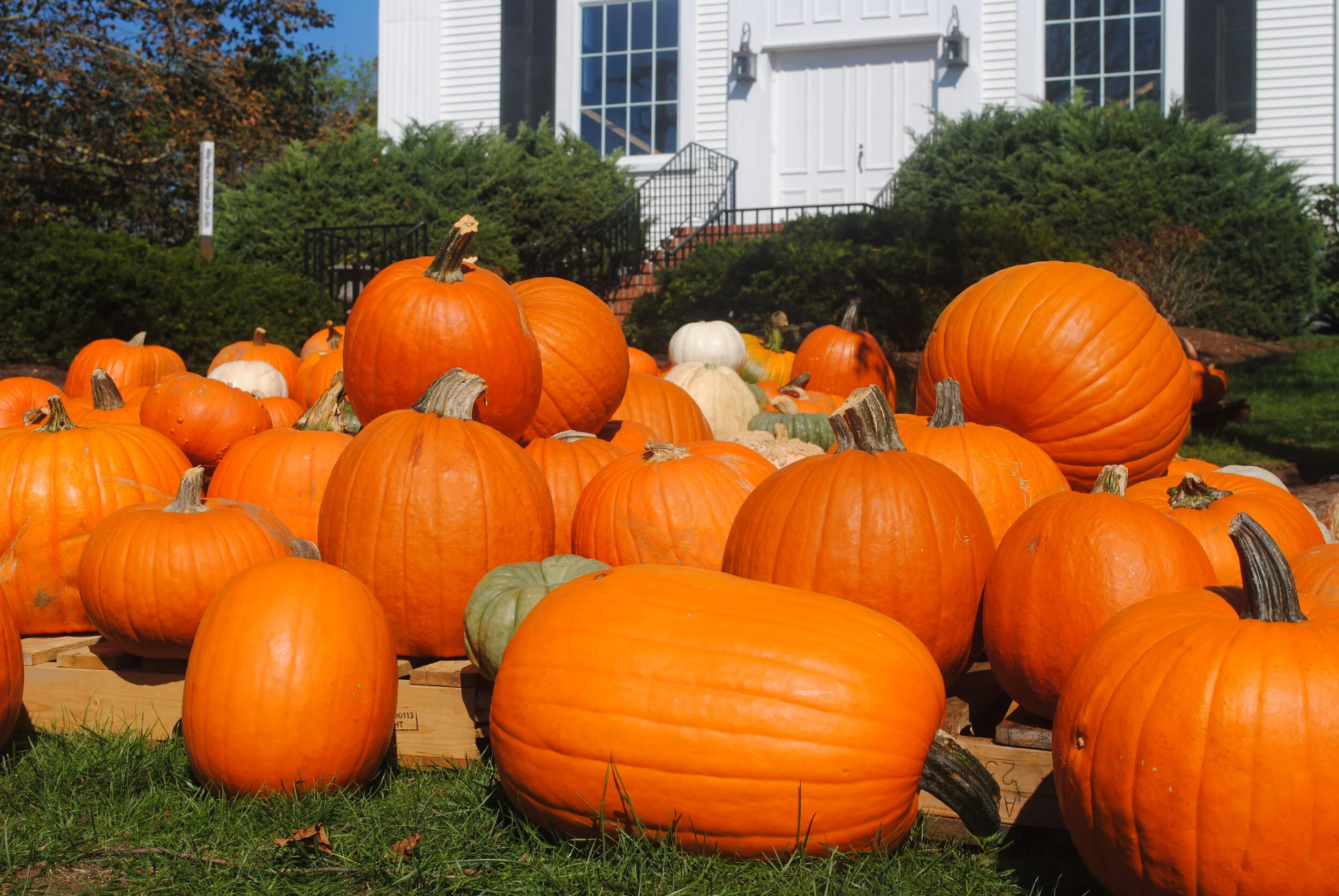 Novo Local de Trabalho