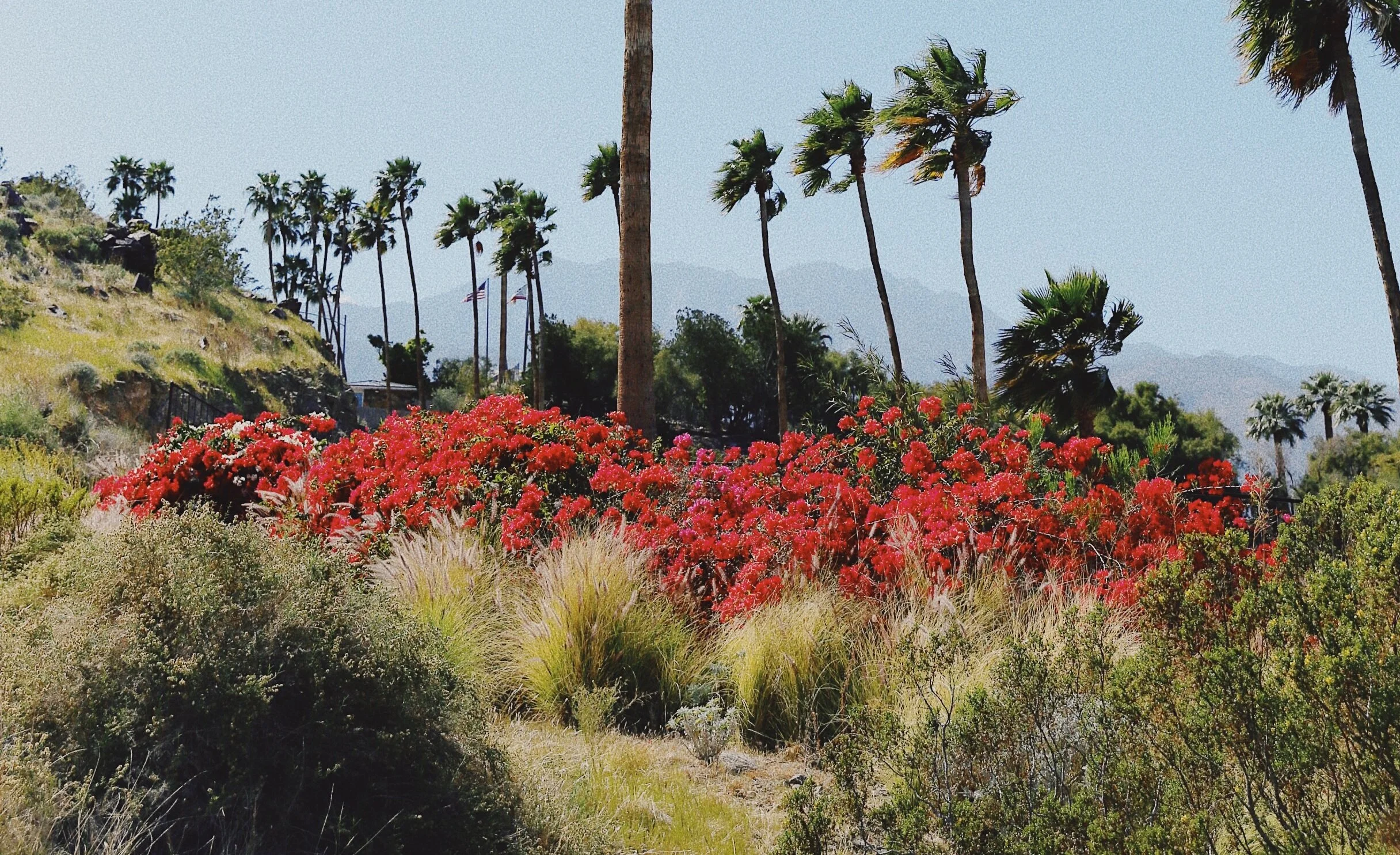 Falta de inspiração