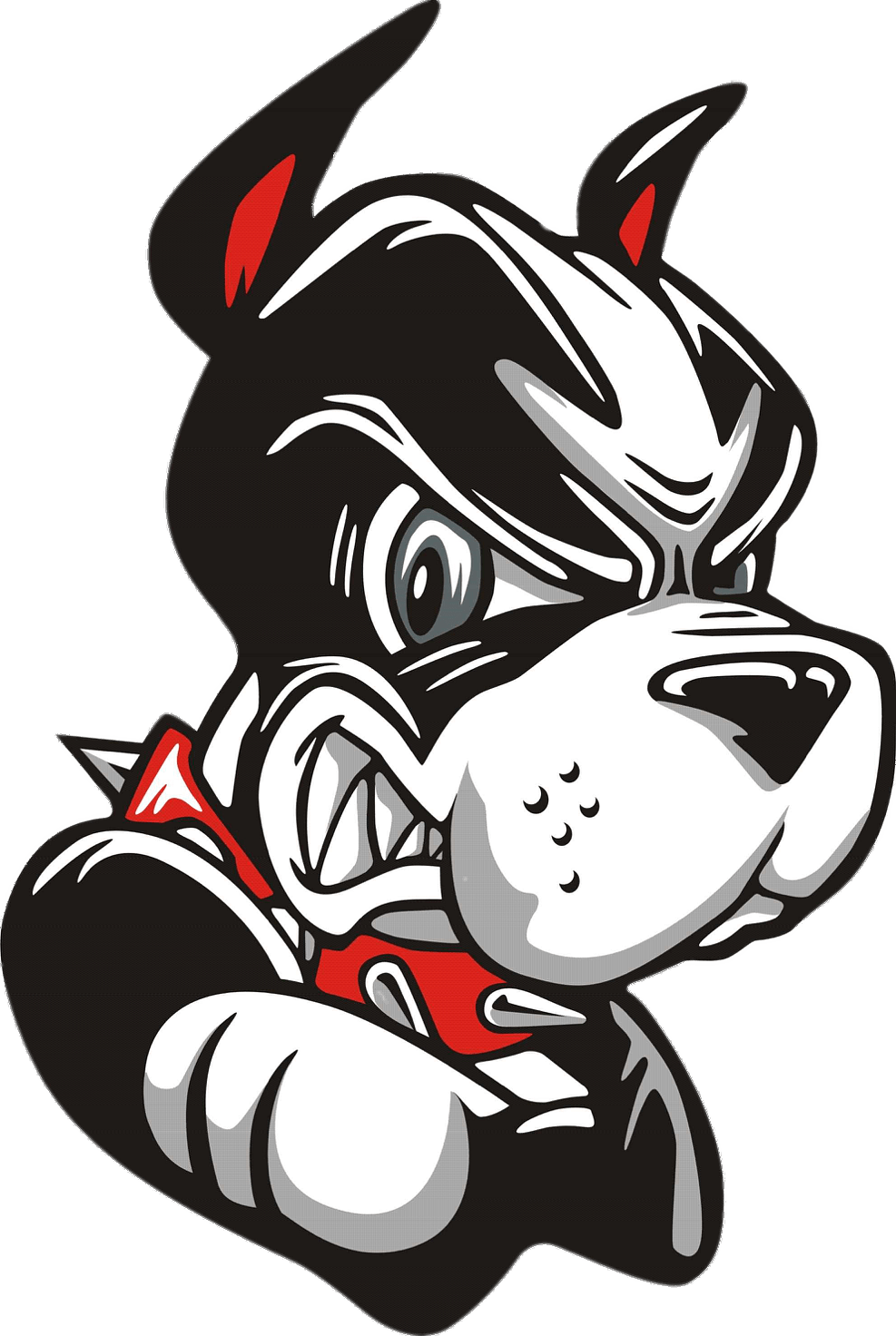 Rhett the Boston Terrier.png