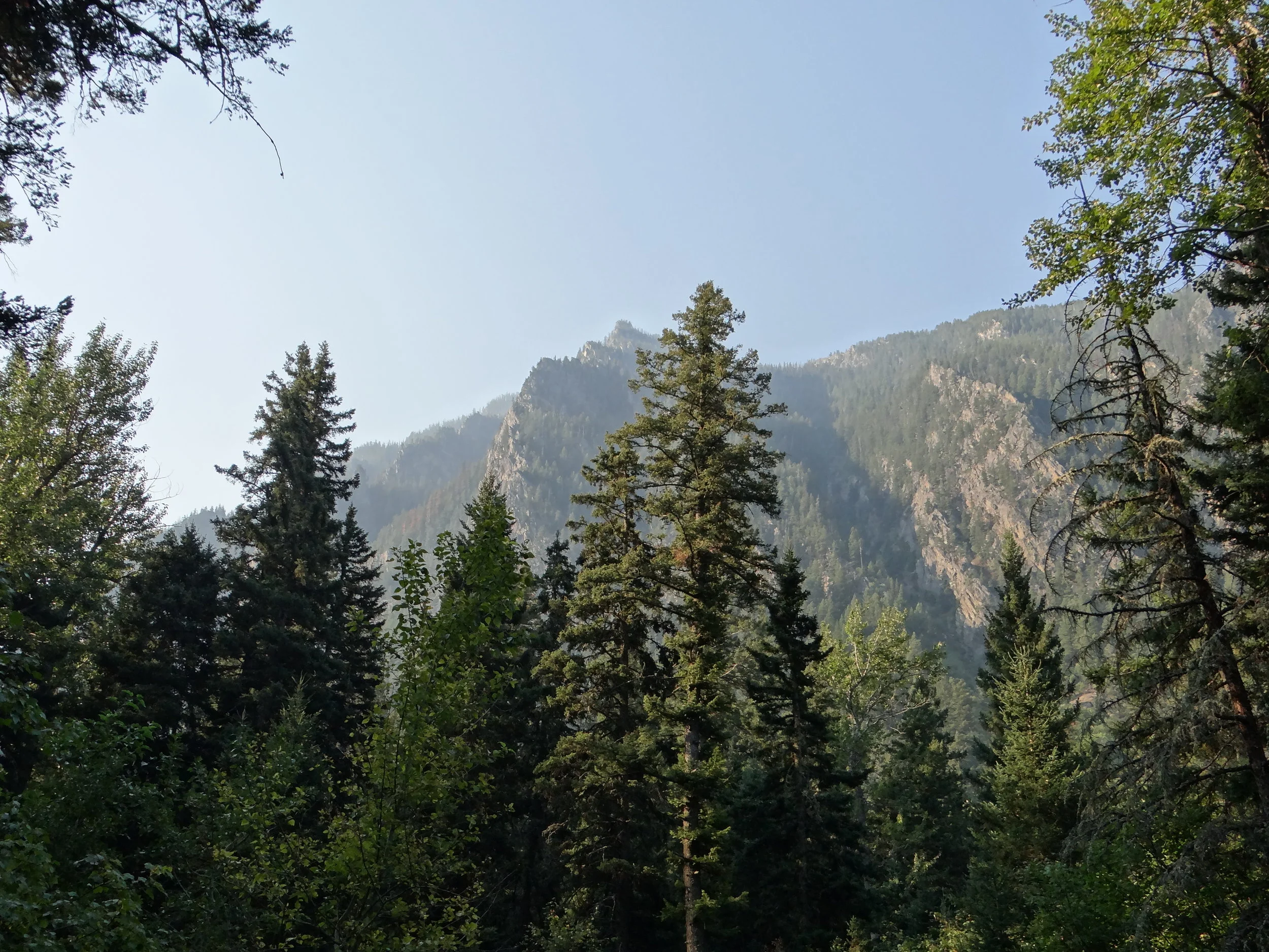 DSC04682_PineCreekTrail.JPG
