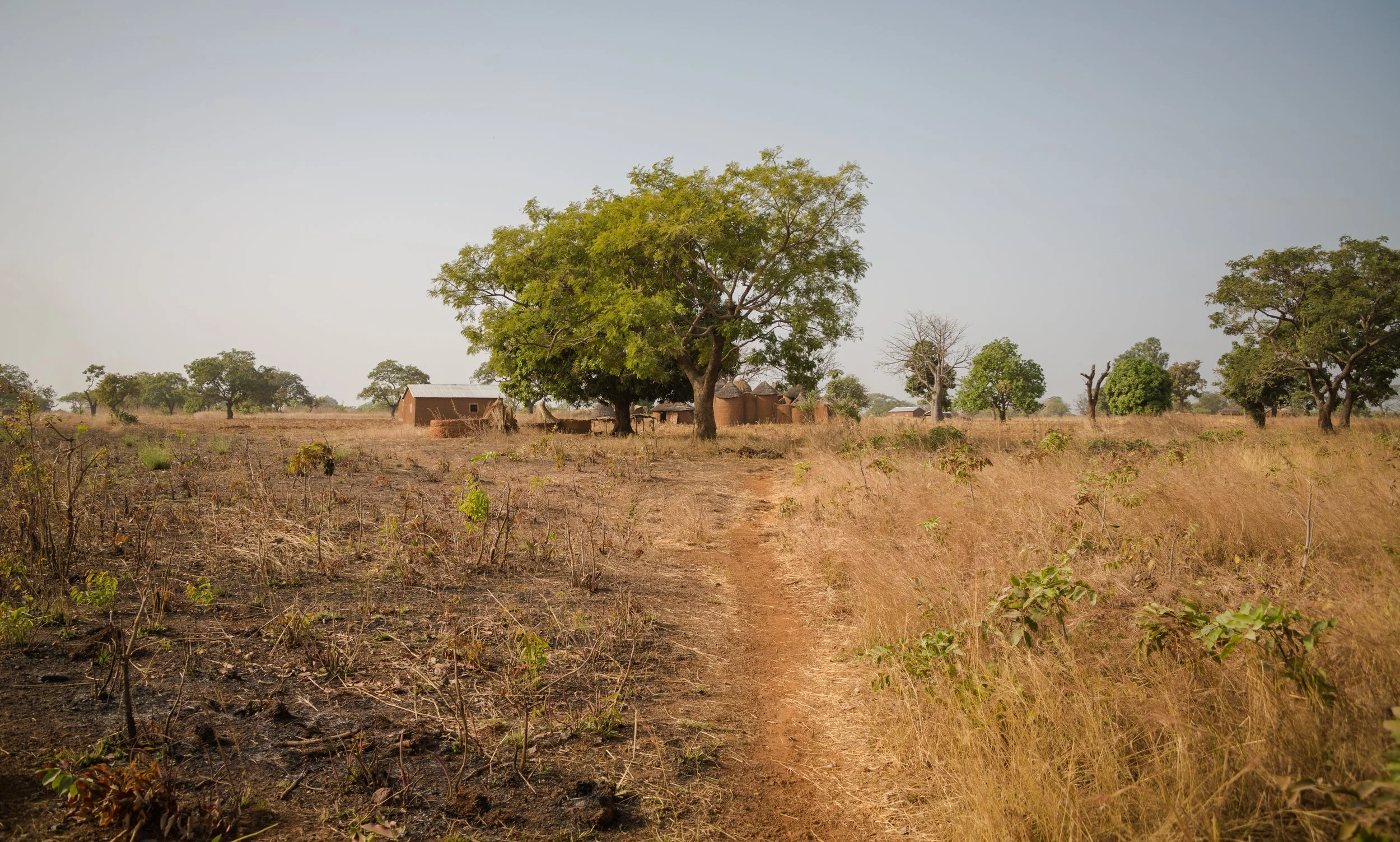 The path into Boukoumbé: earth the color of rust, horizon softened by dry wind.