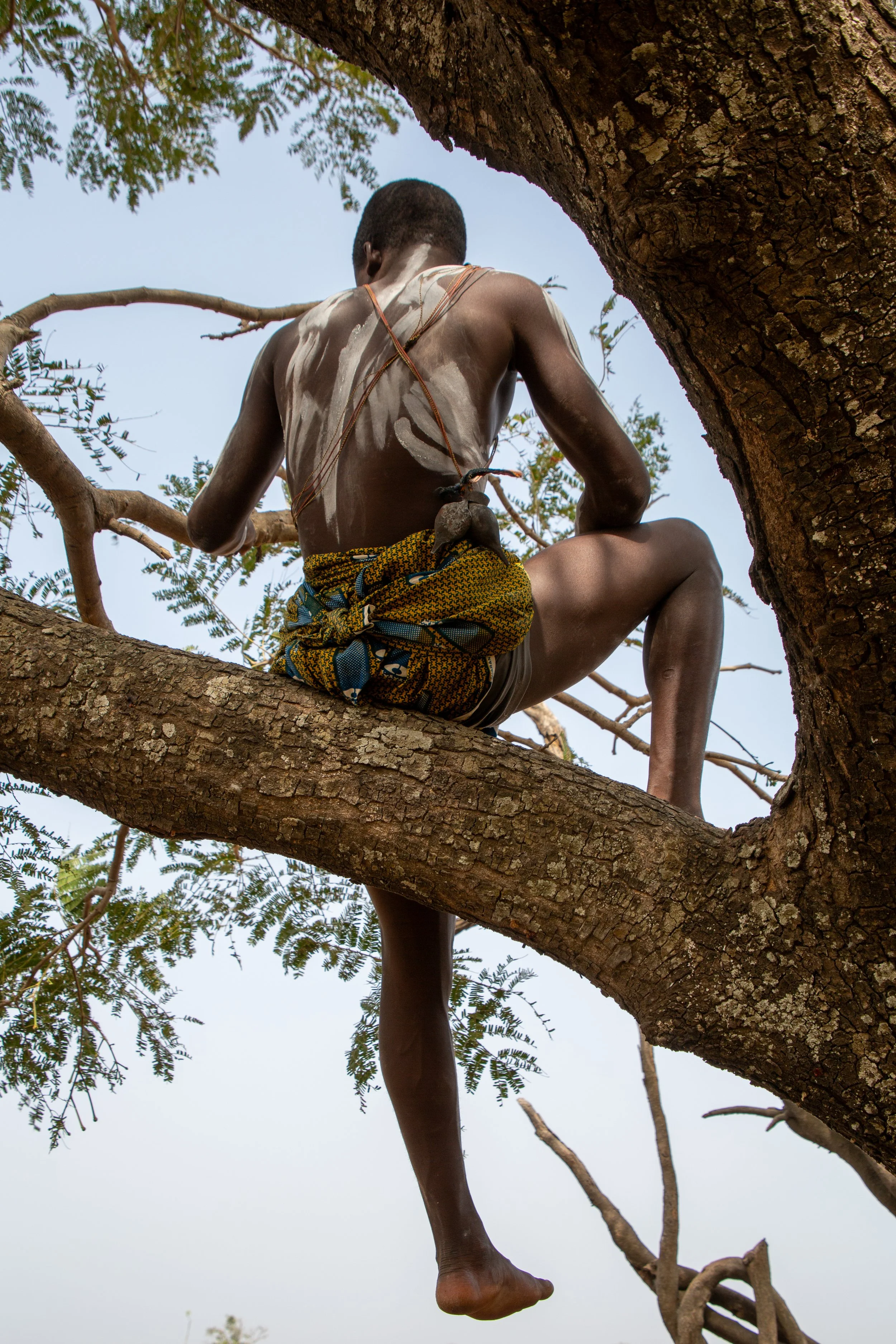 A body pressed against bark, suspended between childhood and duty.