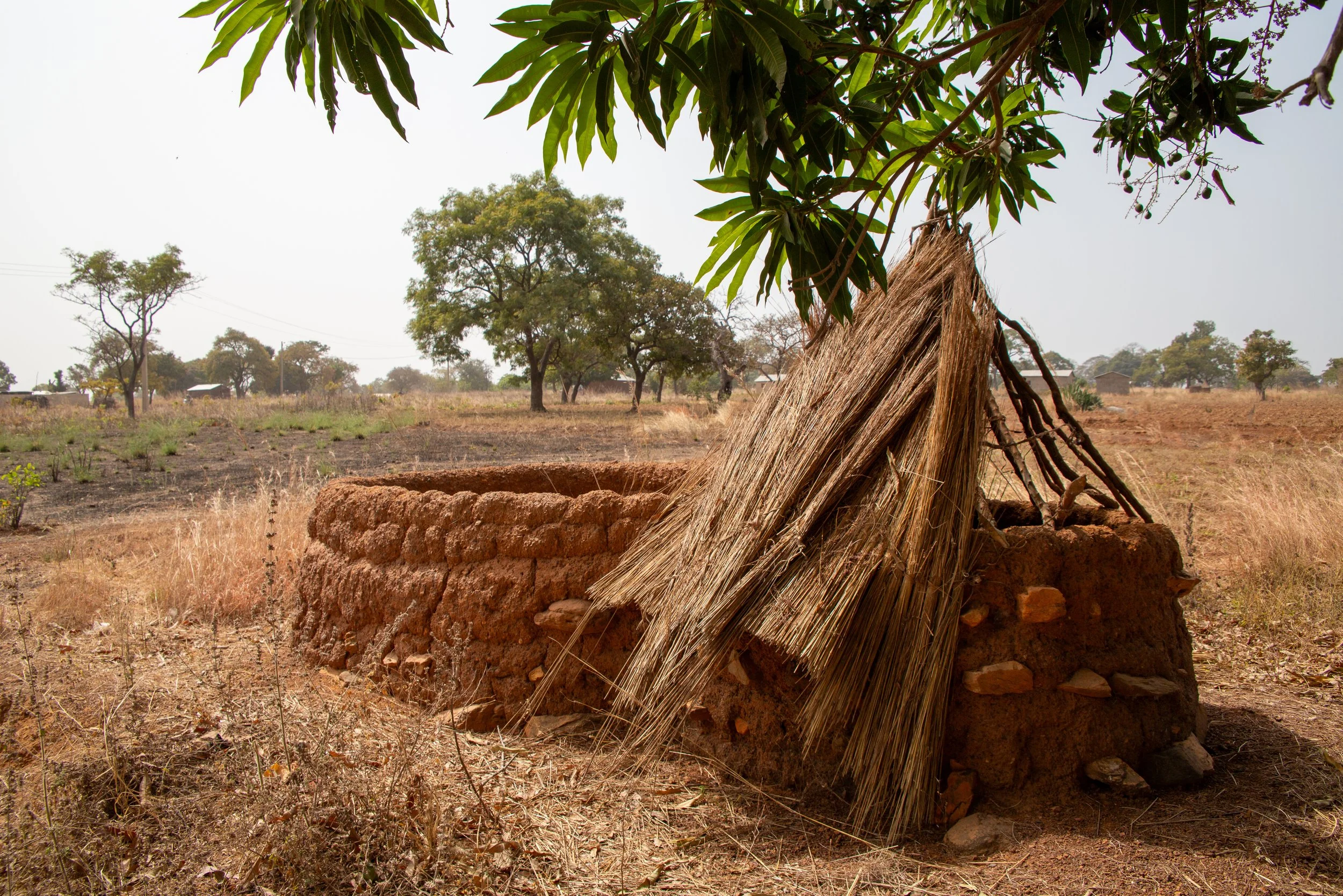 Walls of laterite, straw bound for repair. Tata Somba homes, guardians of tradition.