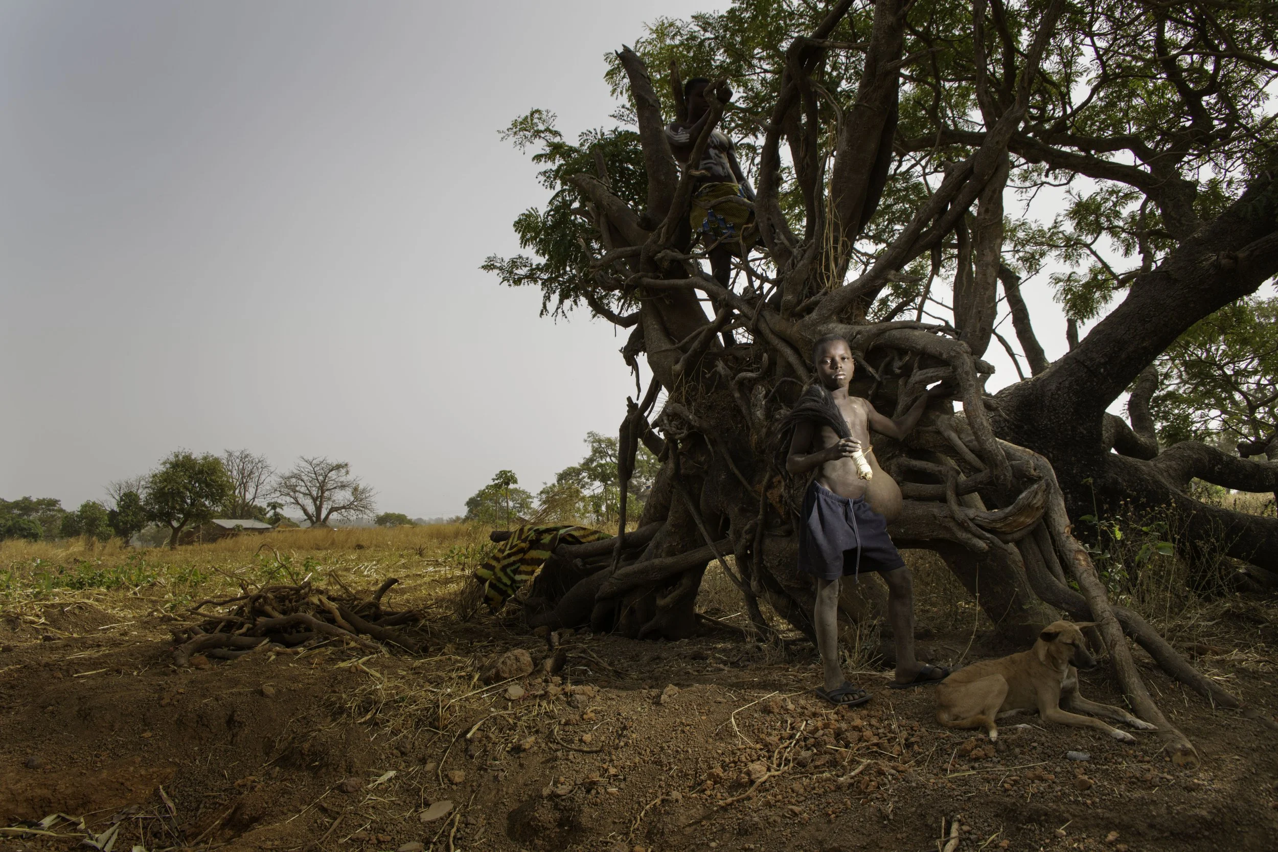 Un jeu suspendu, un fragile équilibre dans les branches. L’absence de sourire dit plus que l’enfance.