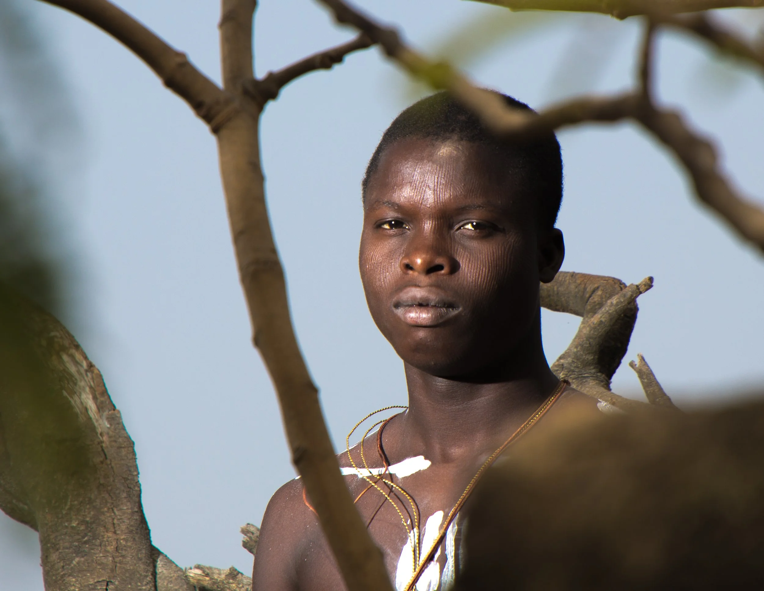 Fiacre. sixteen years old, already carrying the gravity of twelve lives.