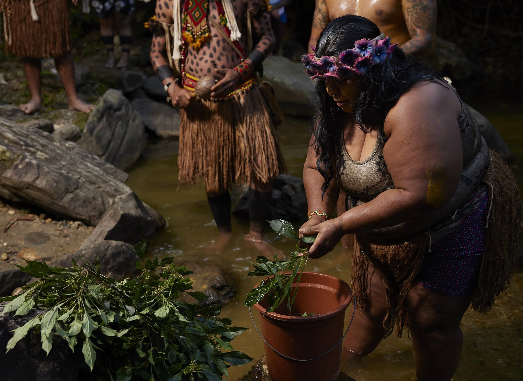 Immersion in the Forest