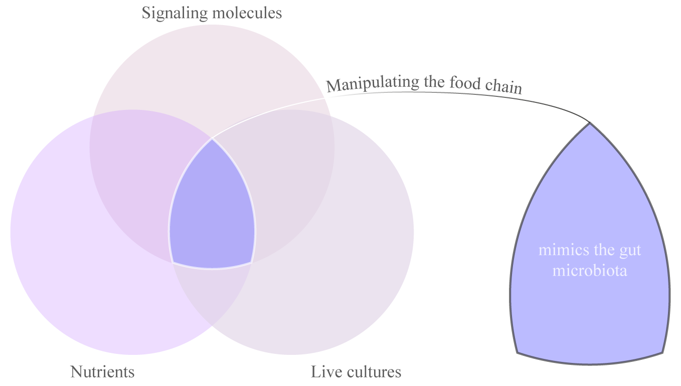 intersections-01.png
