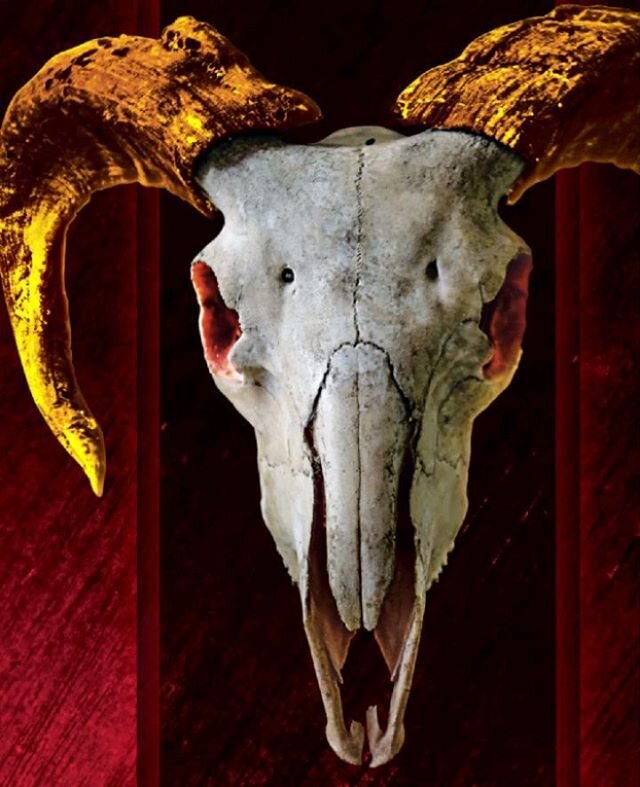 The Golden Ram. 🔊
📷 Original photo: v2osk from @unsplash
📯 Music: Jam Studios from @shutterstock music
.
#photomanipulation #ram #skull #gold #golden #horns #red #dark #animal #motion #unsplash #shutterstock #edit #wallpaper #flickering #texture #