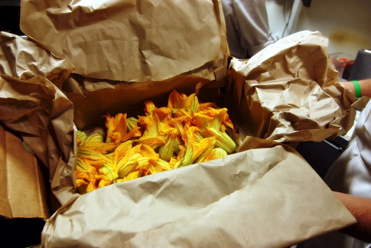 Kitchen In Season_ Anthony Florian_Seven Hills016.JPG