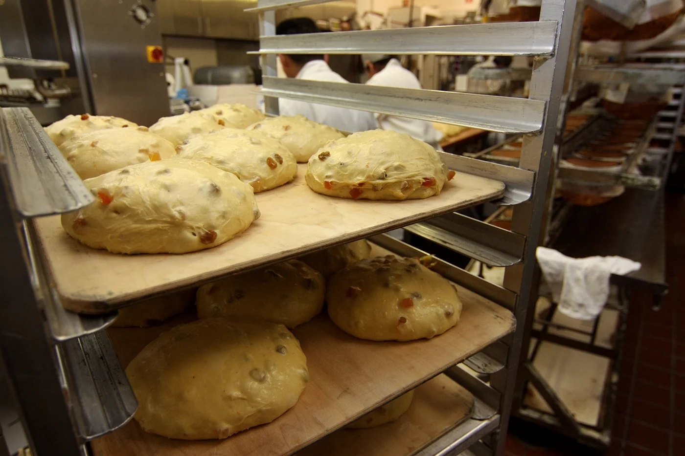 Kitchen In Season_Gary Rulli193 067.JPG