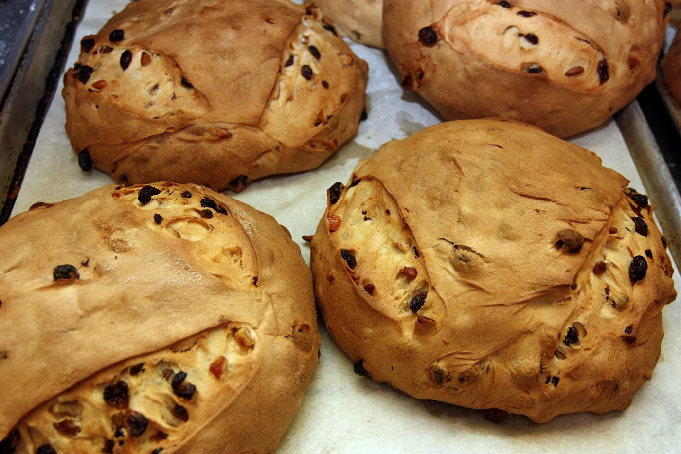 Kitchen In Season_Gary Rulli156 058.JPG