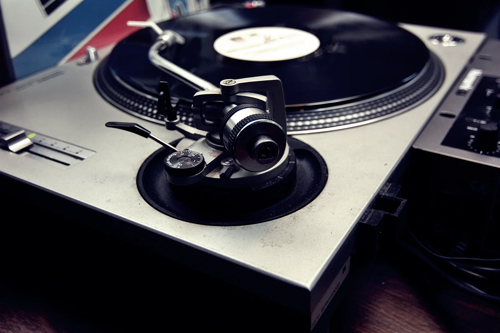 Kitchen In Season_High Treason_Michael IrelandIMG_9152.JPG