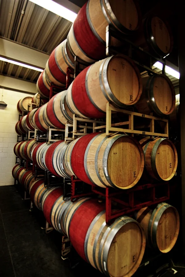 Kitchen in Season_Medlock Ames_15.JPG