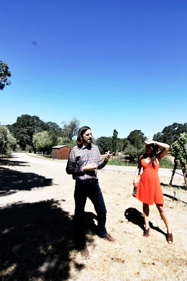 Kitchen in Season_Medlock Ames_17.JPG